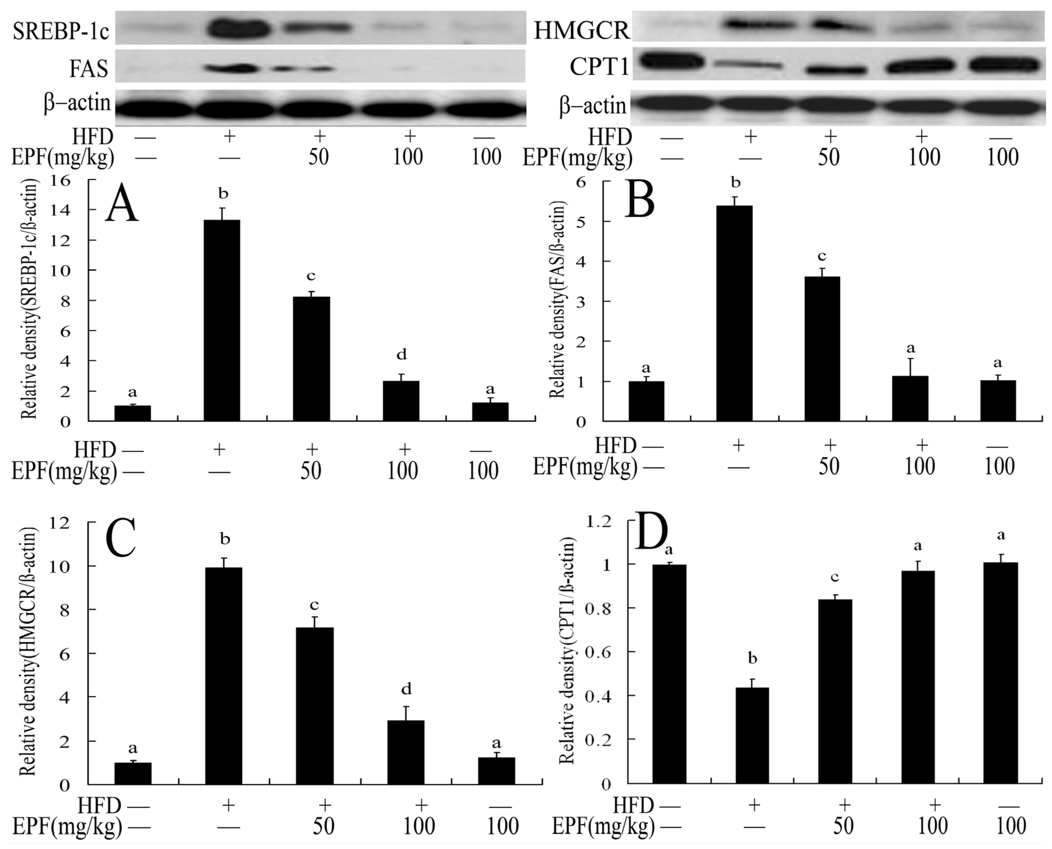 Nutrients 09 00959 g005