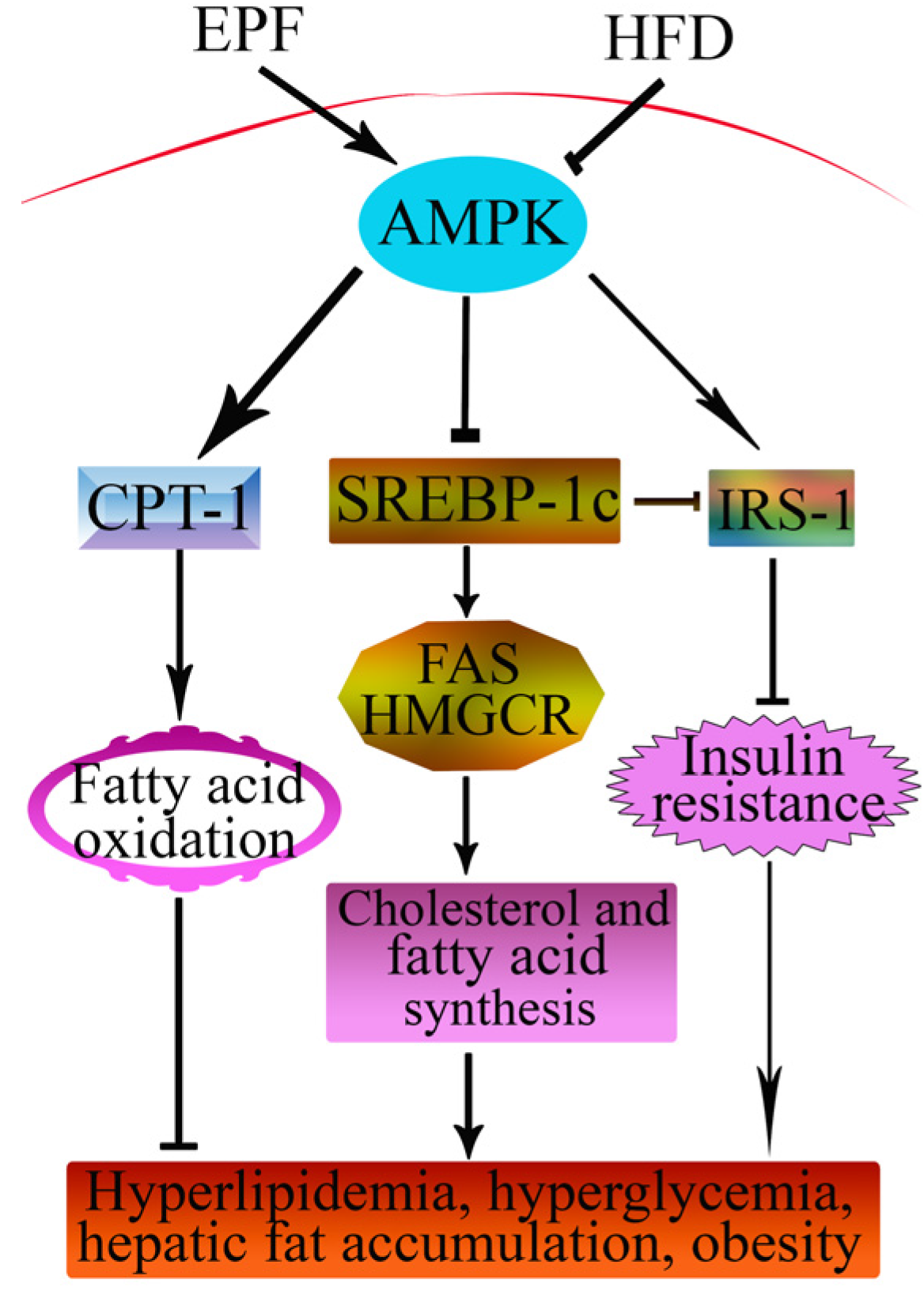 Nutrients 09 00959 g007