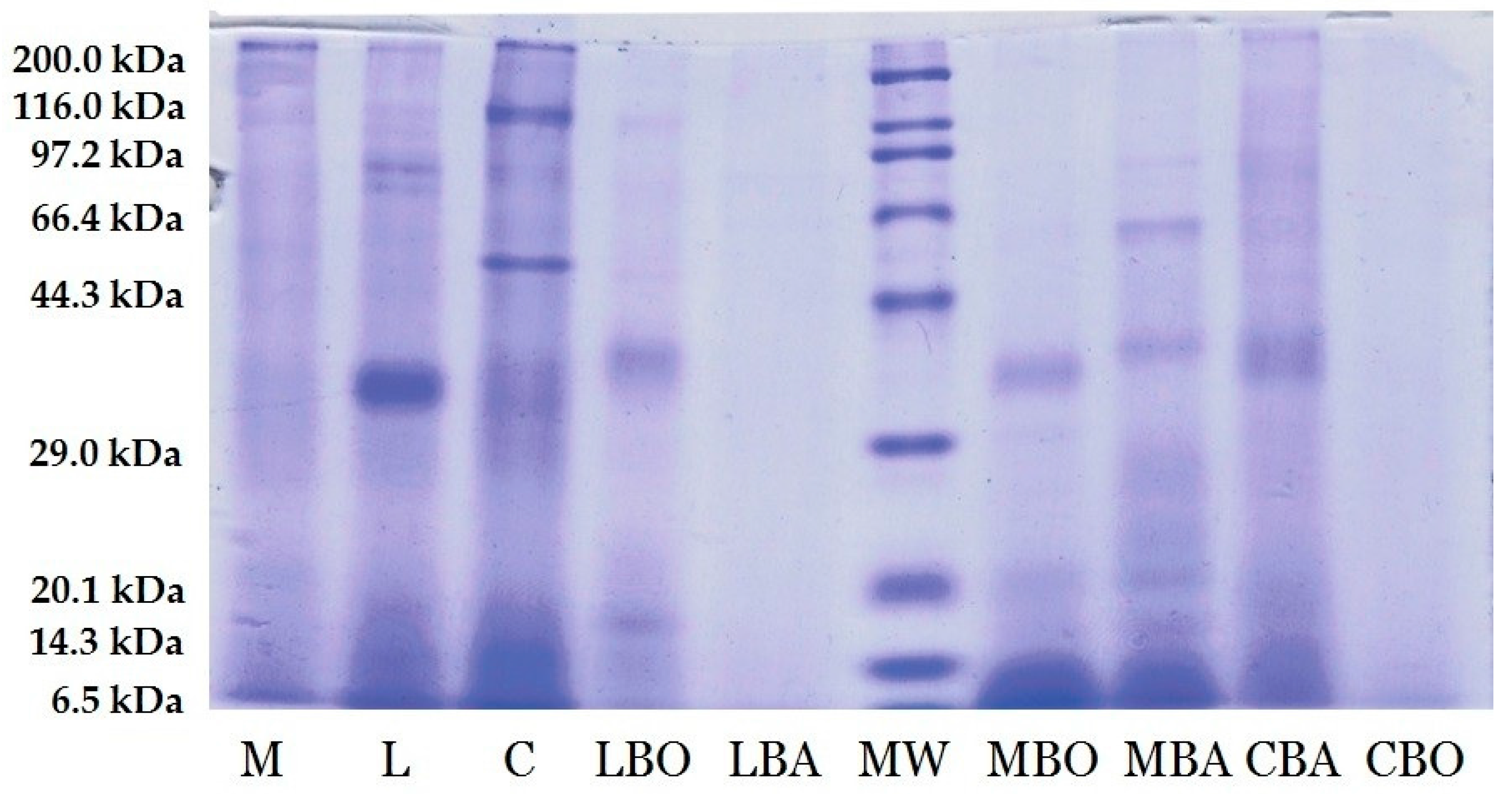 Nutrients 09 00970 g001