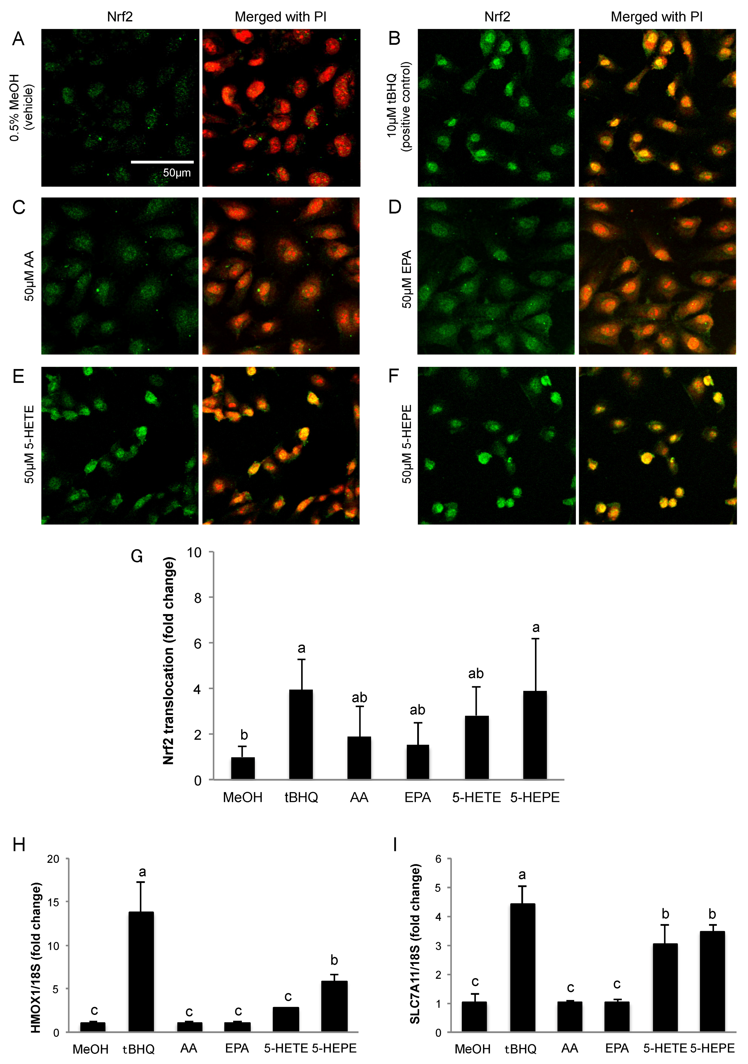 Nutrients 09 01001 g001