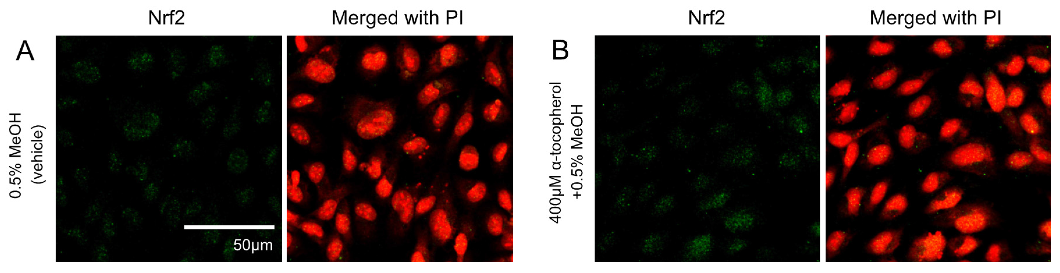 Nutrients 09 01001 g003a