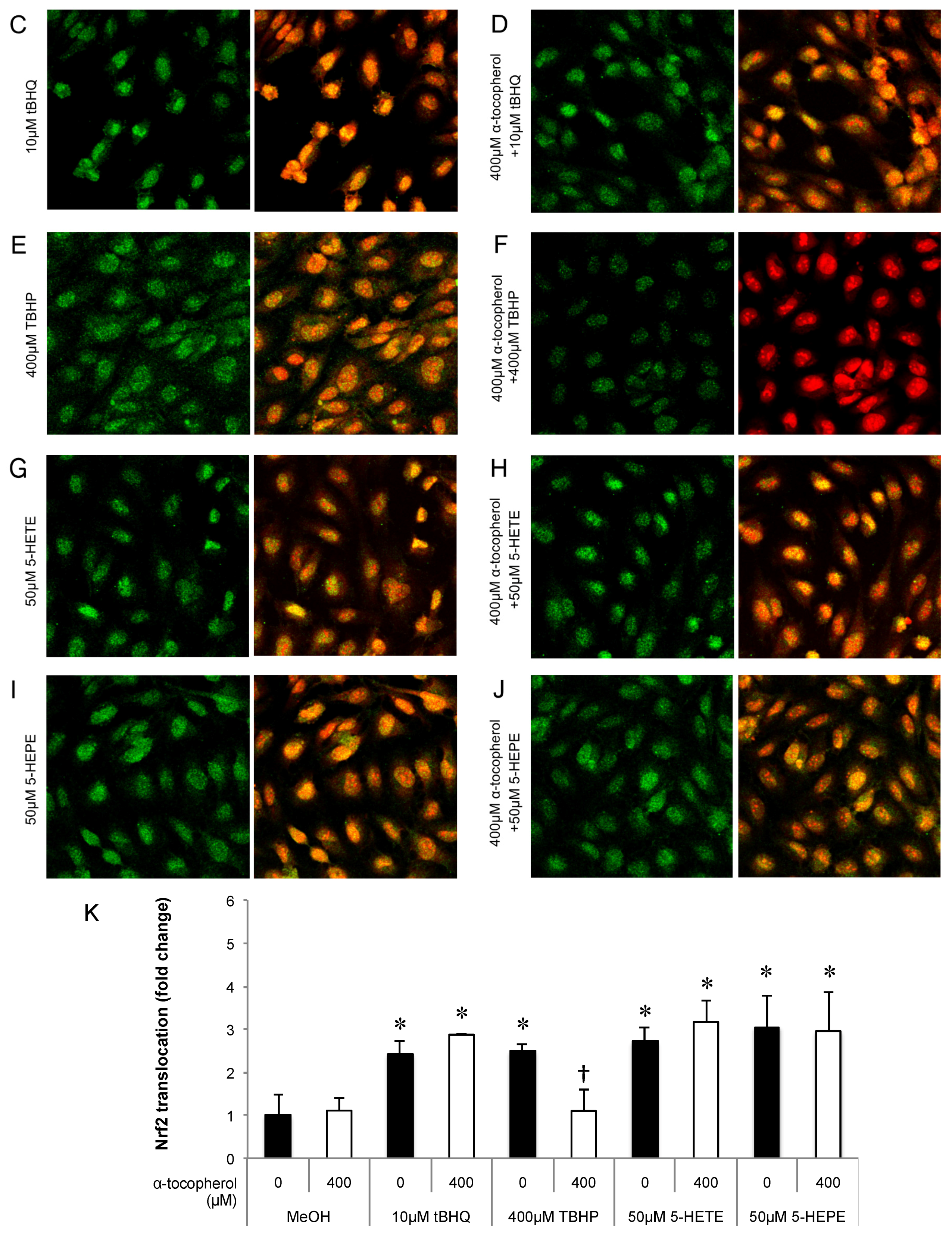 Nutrients 09 01001 g003b