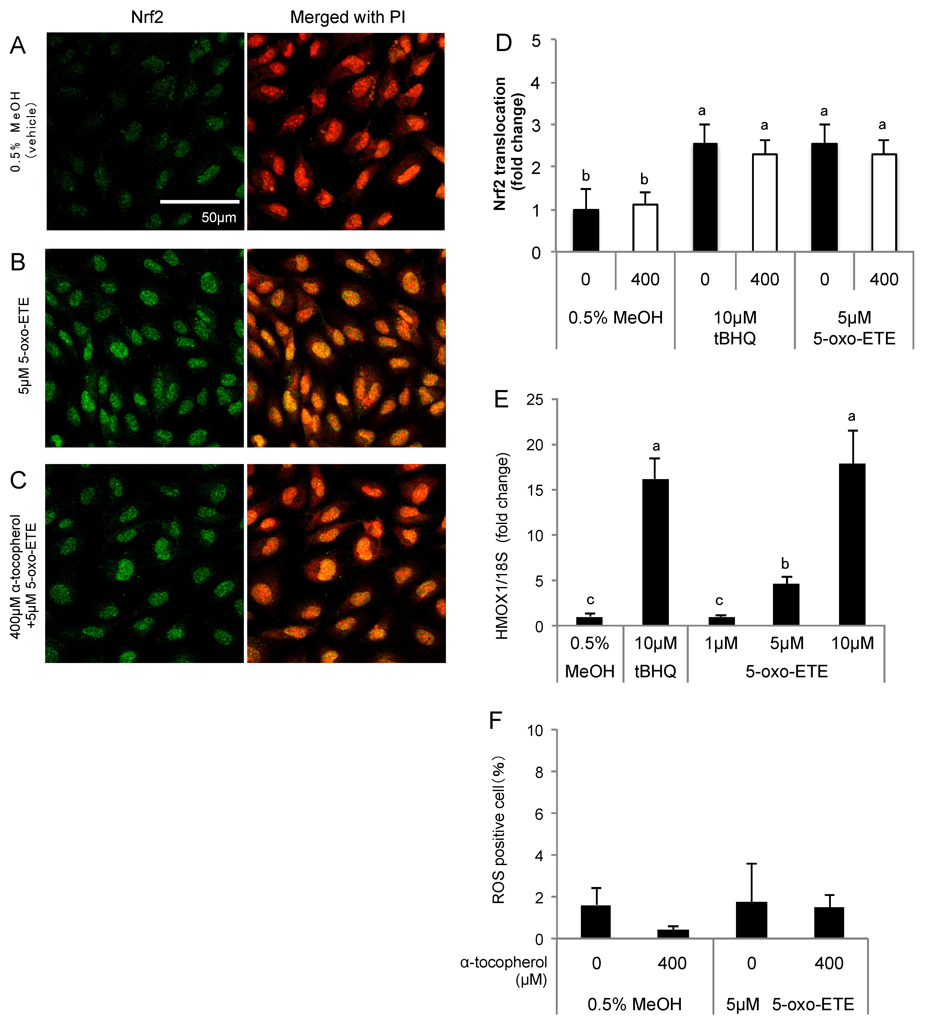 Nutrients 09 01001 g005