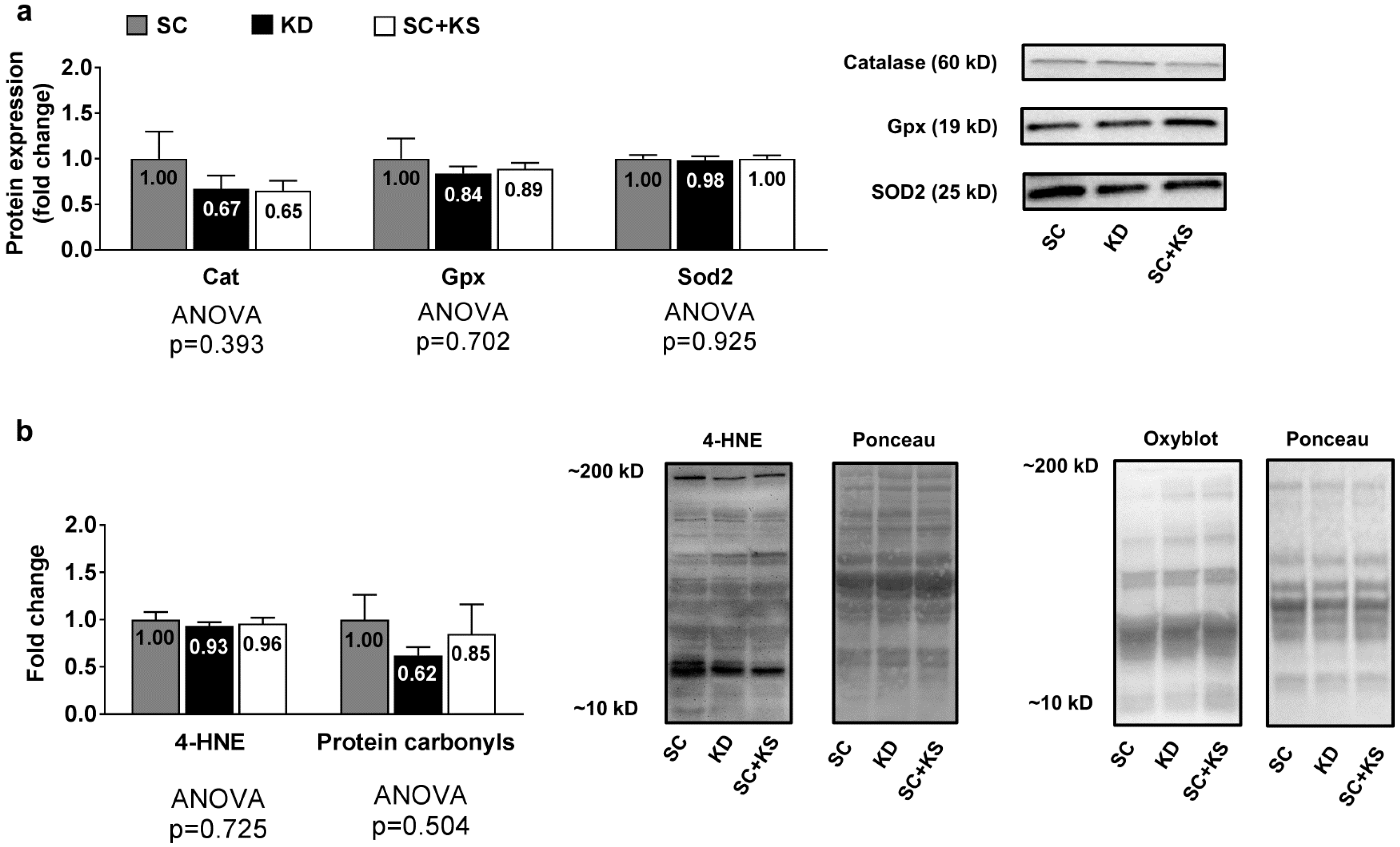 Nutrients 09 01019 g005