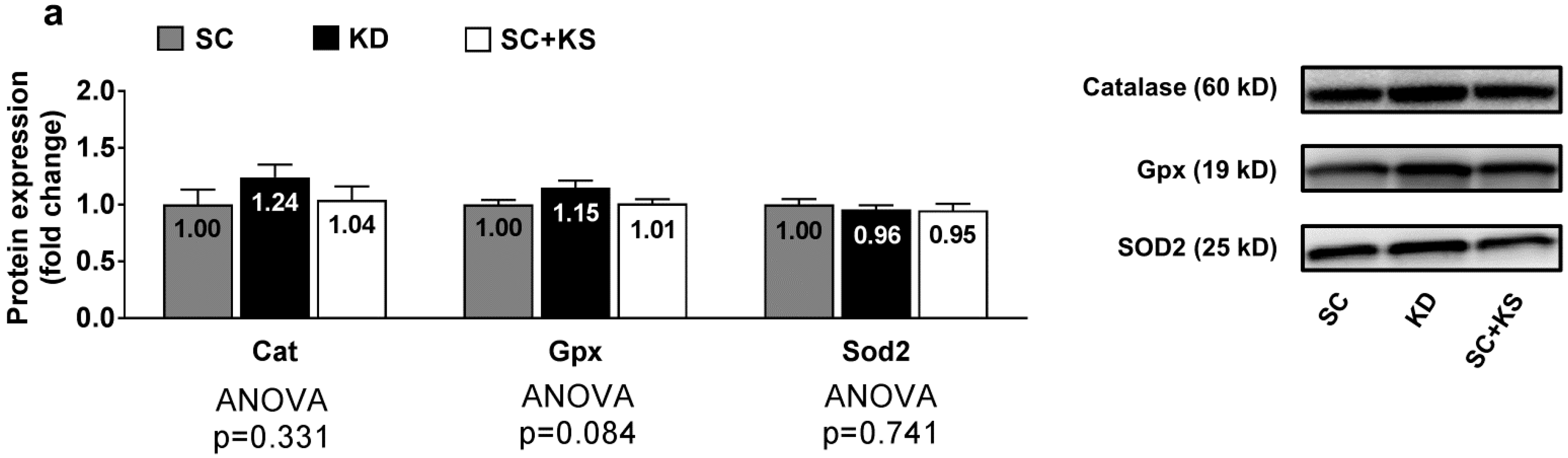 Nutrients 09 01019 g006a