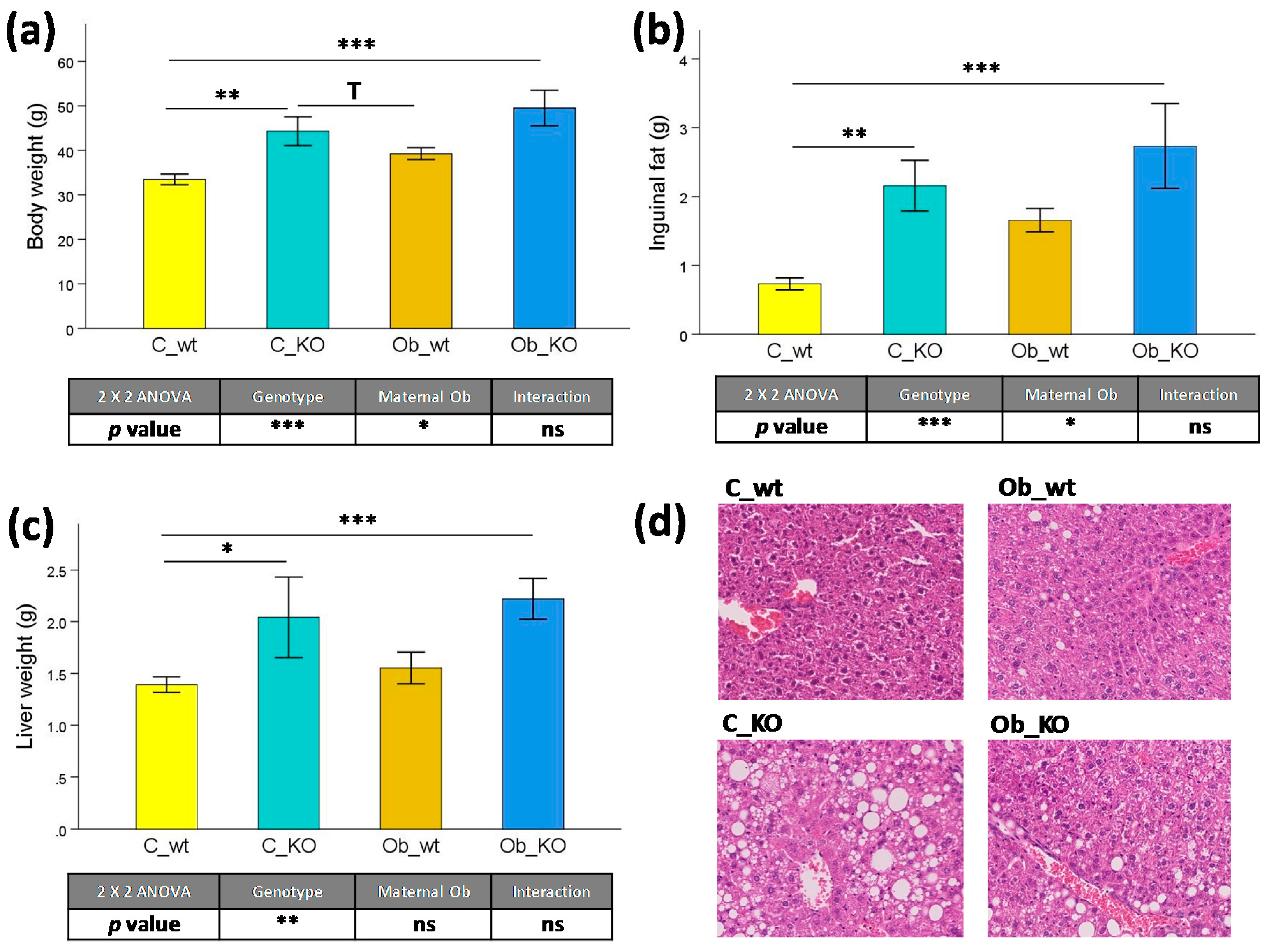 Nutrients 09 01041 g001 Nutrients 09 01041 g001