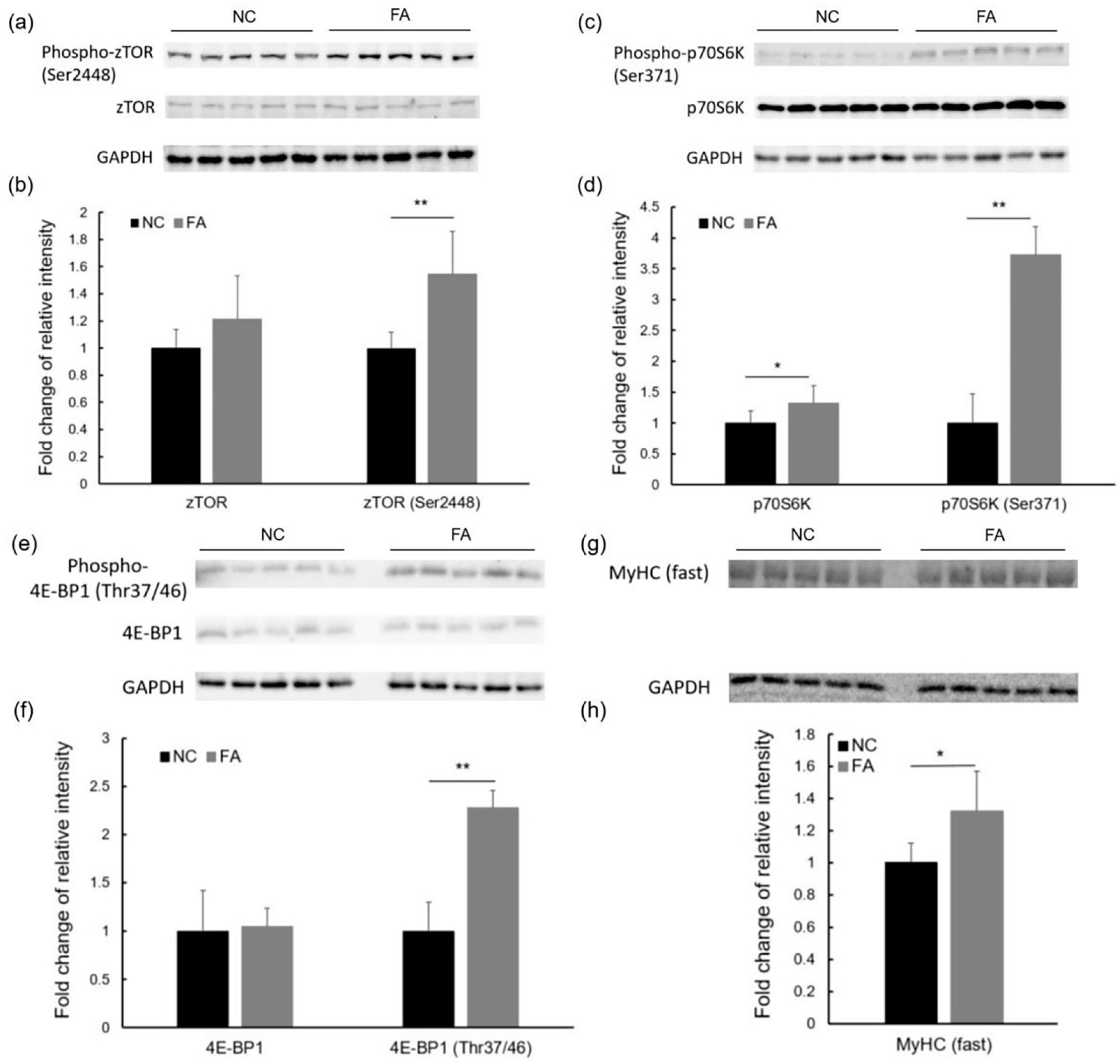 Nutrients 09 01066 g005