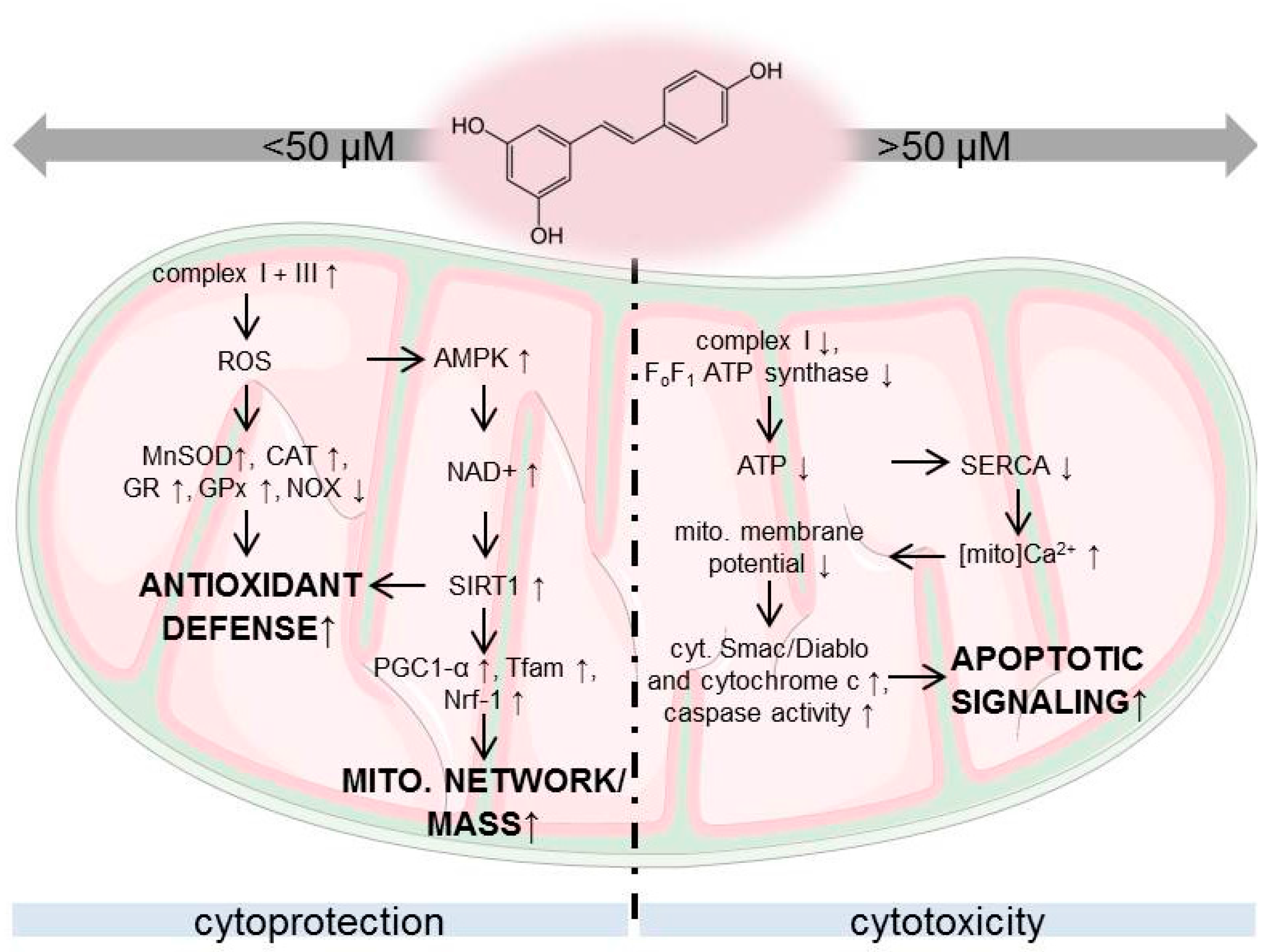 Nutrients 09 01117 sch001