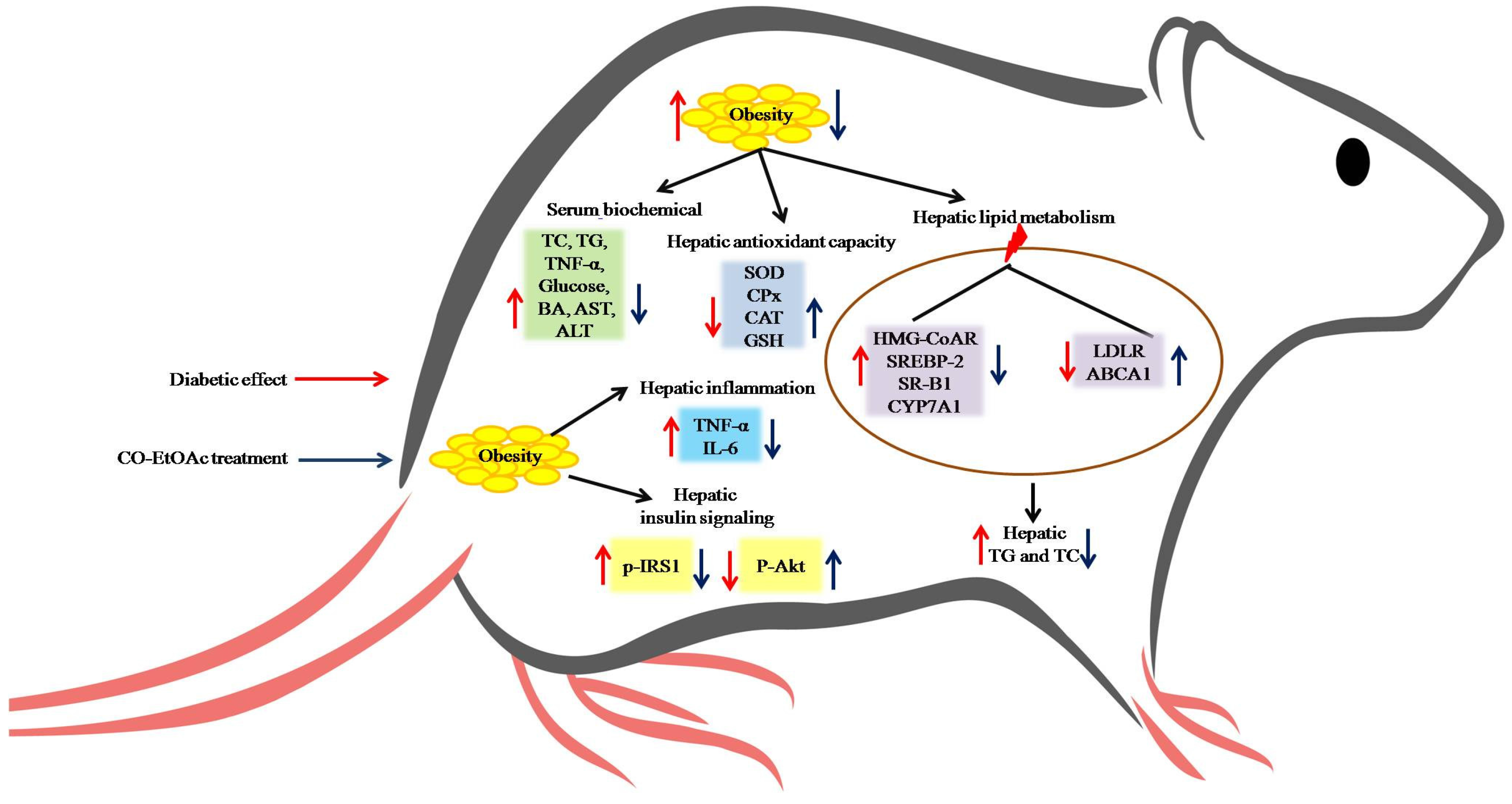 Nutrients 09 01123 g006