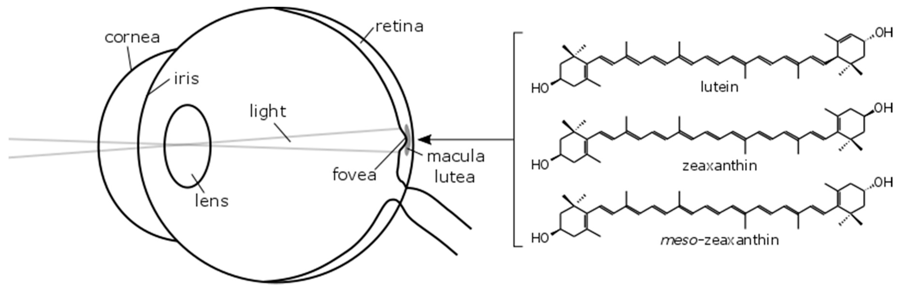 Nutrients 09 01133 g001