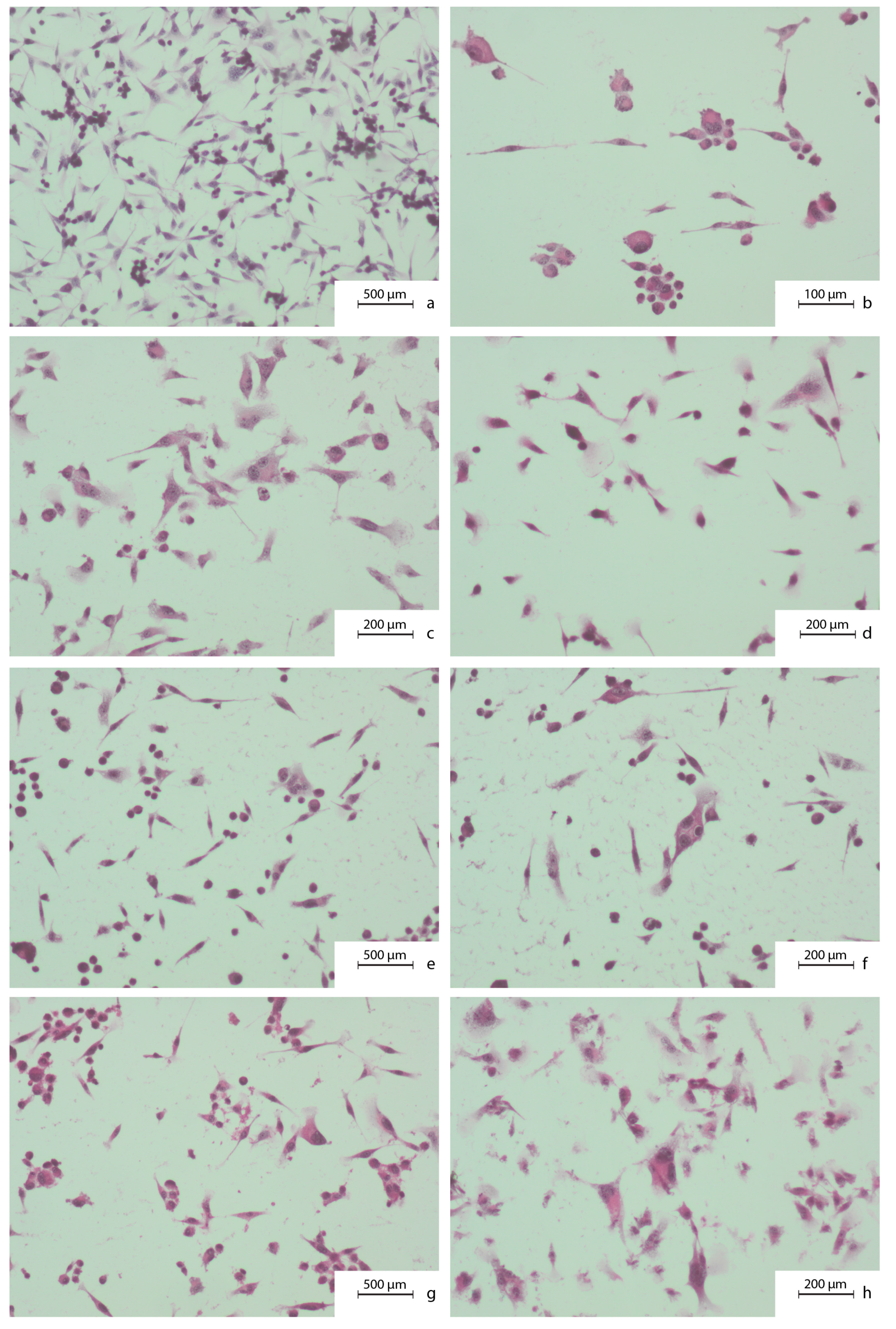 Nutrients 09 01144 g001