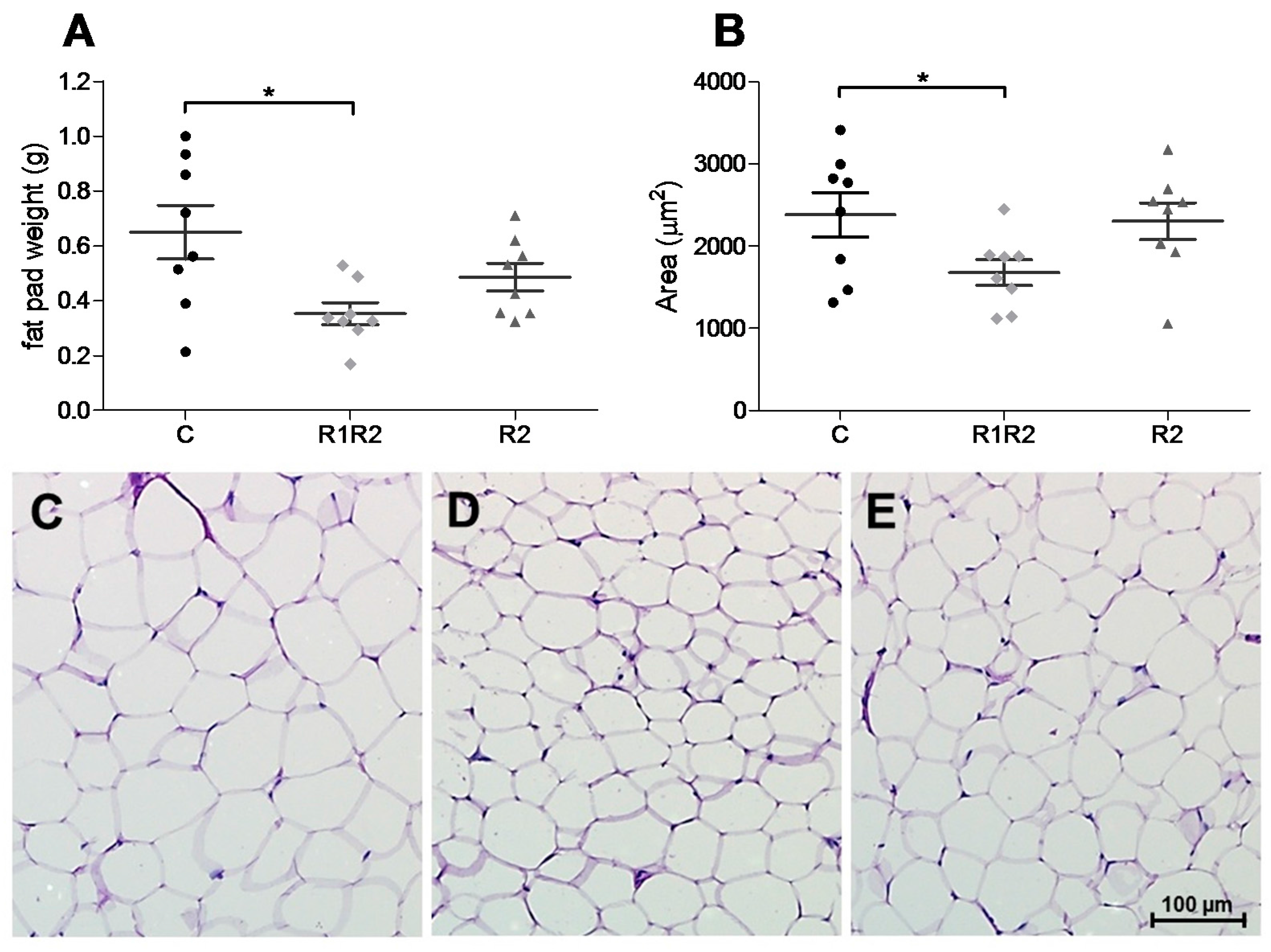 Nutrients 09 01149 g005