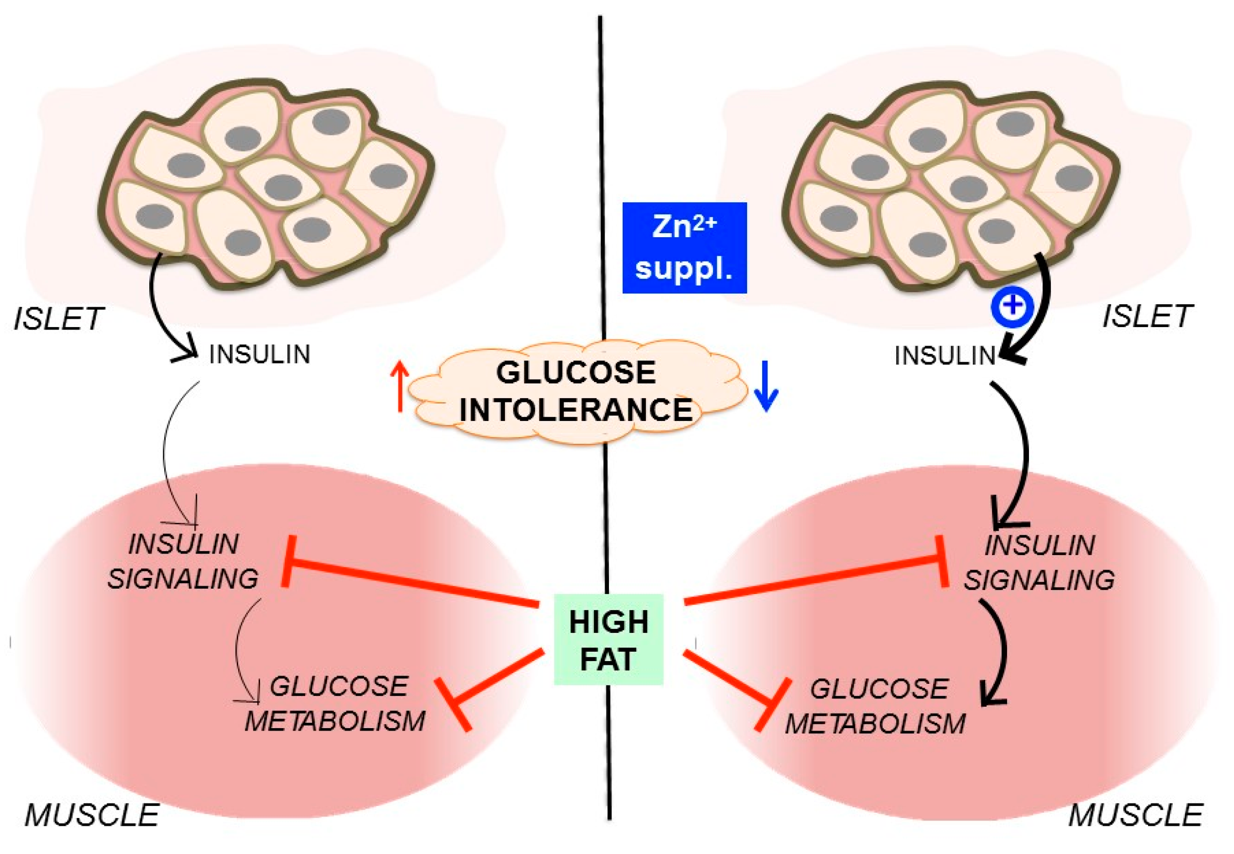 Nutrients 09 01150 g006