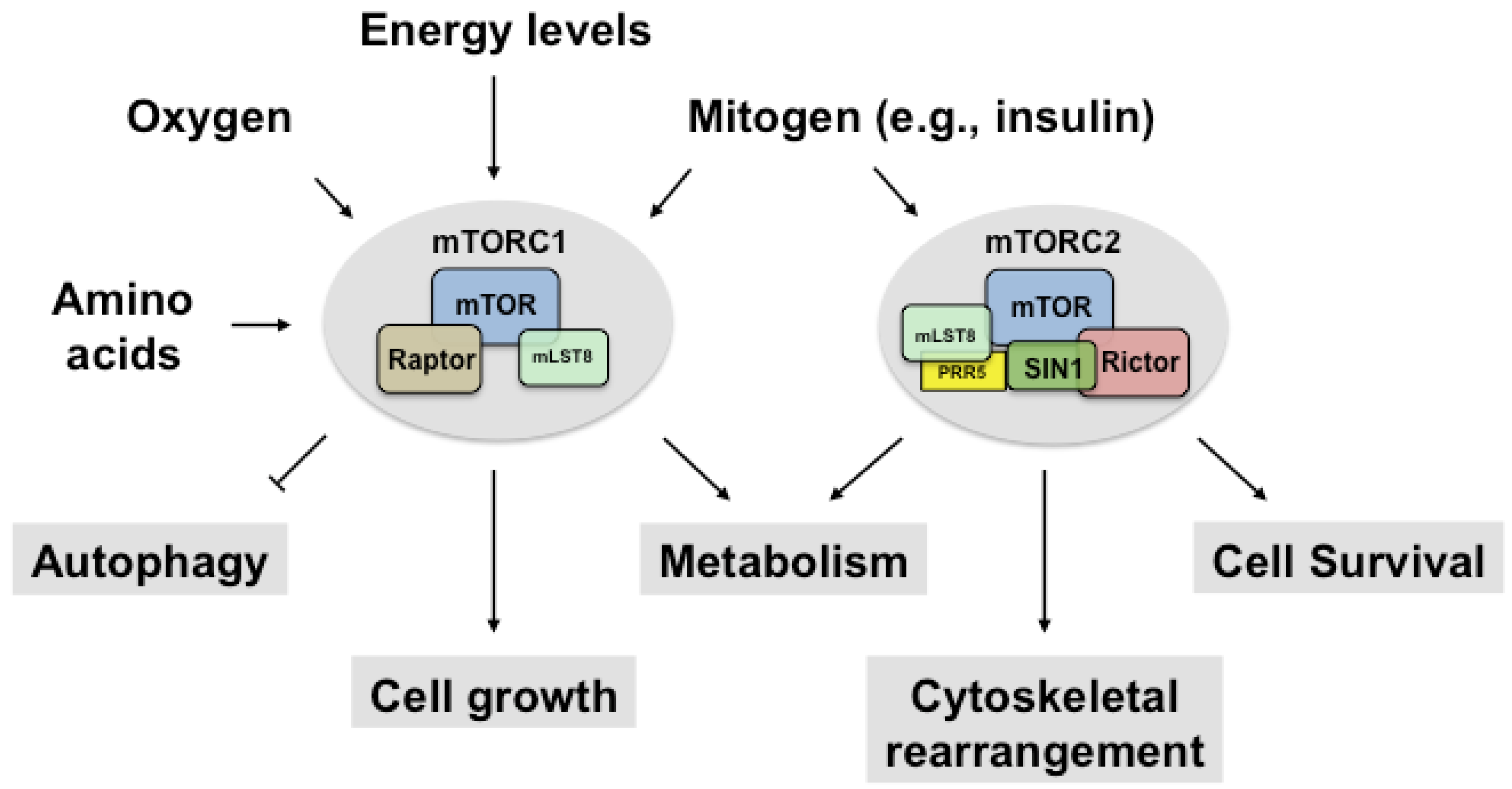 Nutrients 09 01176 g001