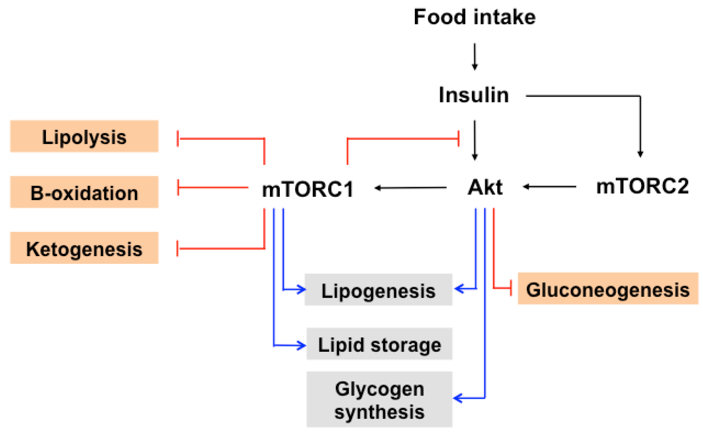 Nutrients 09 01176 g003