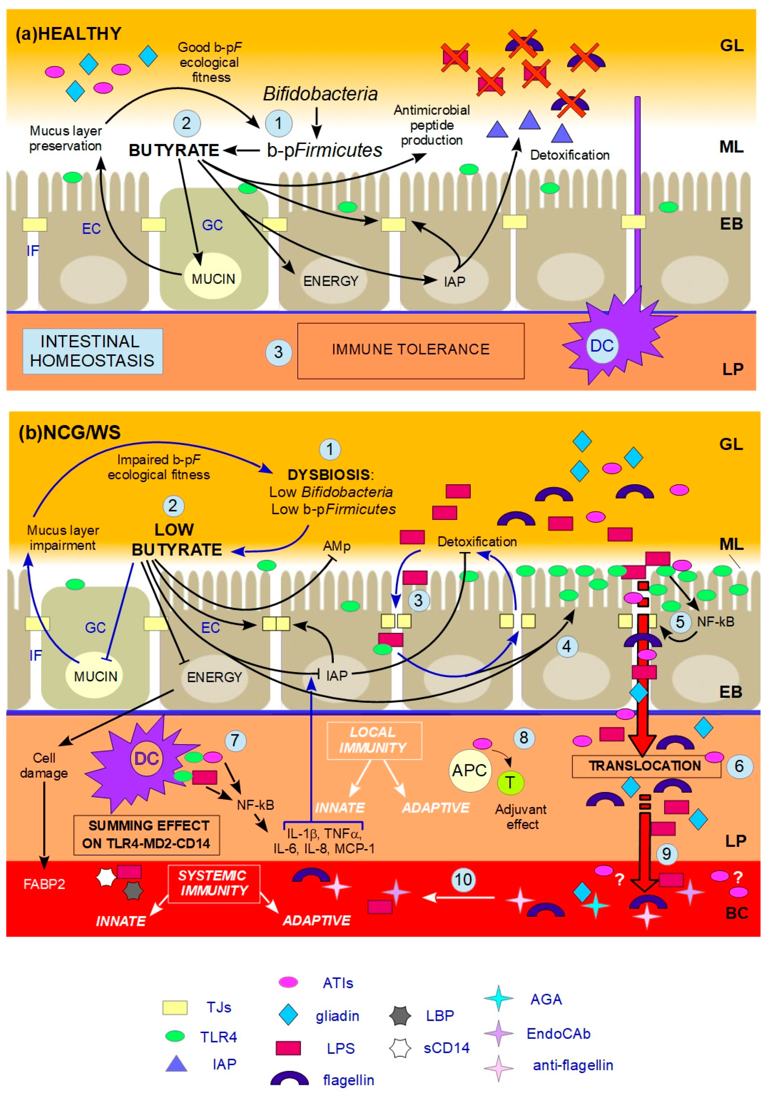 Nutrients 09 01203 g001