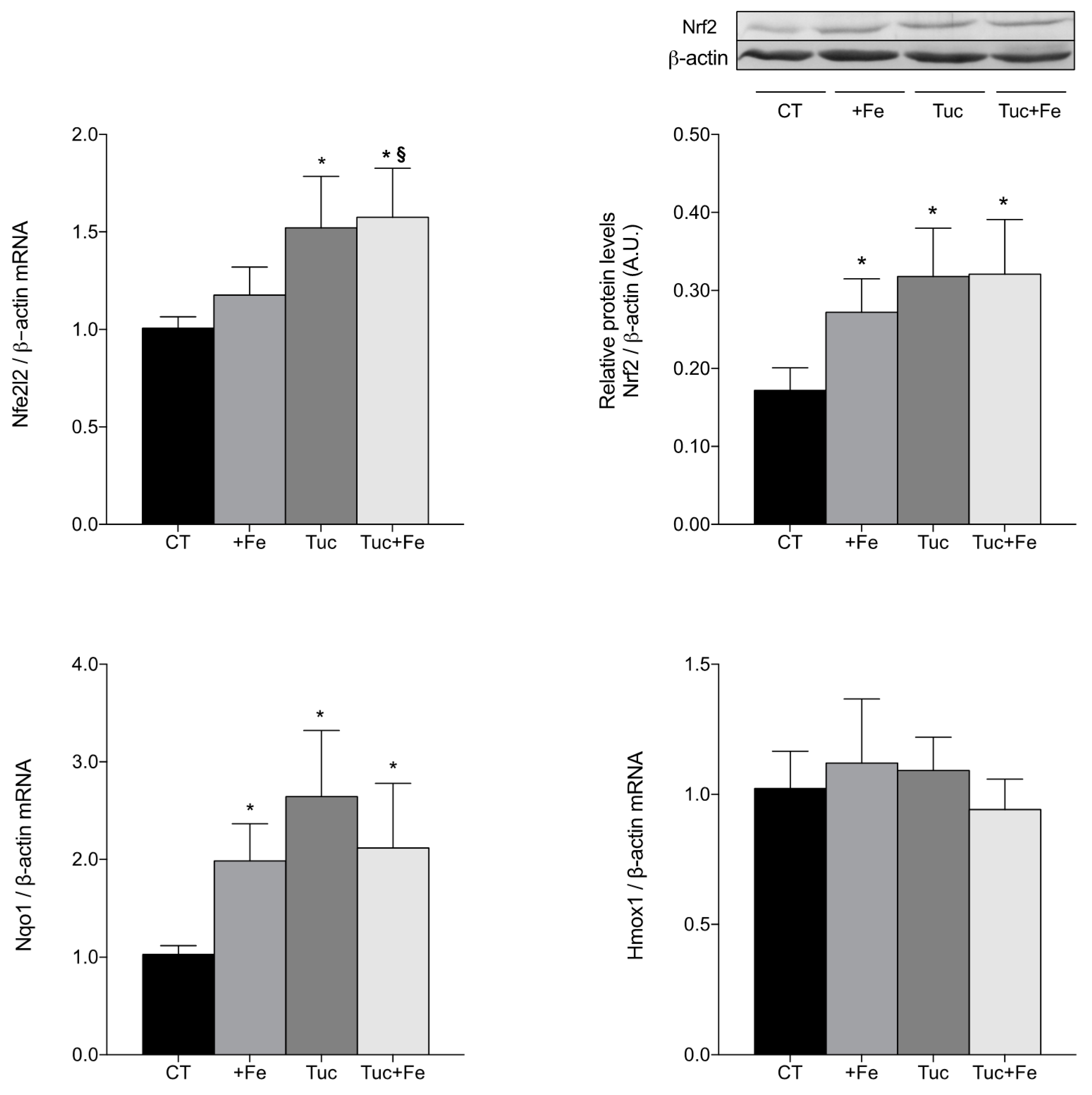 Nutrients 09 01243 g003