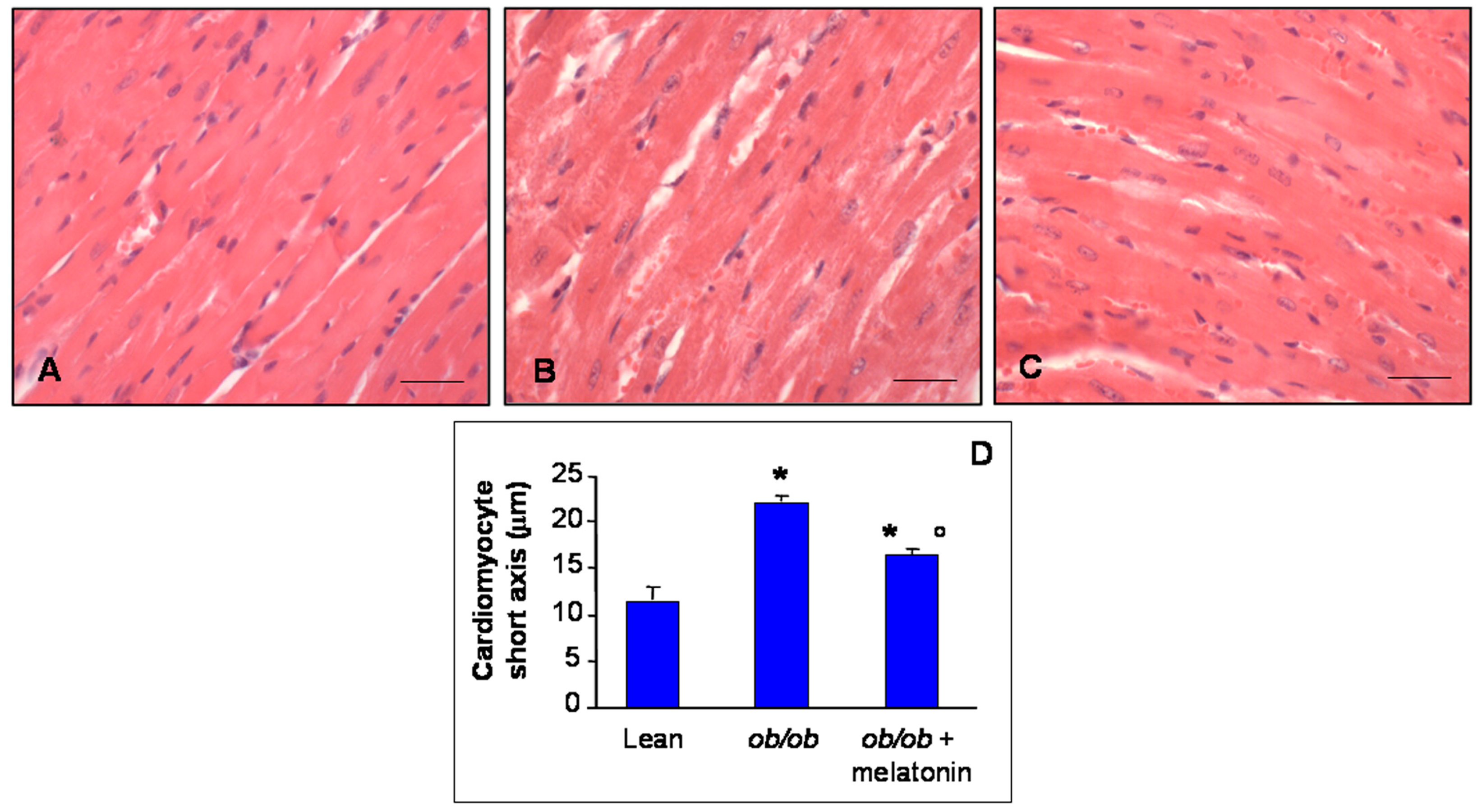 Nutrients 09 01323 g001