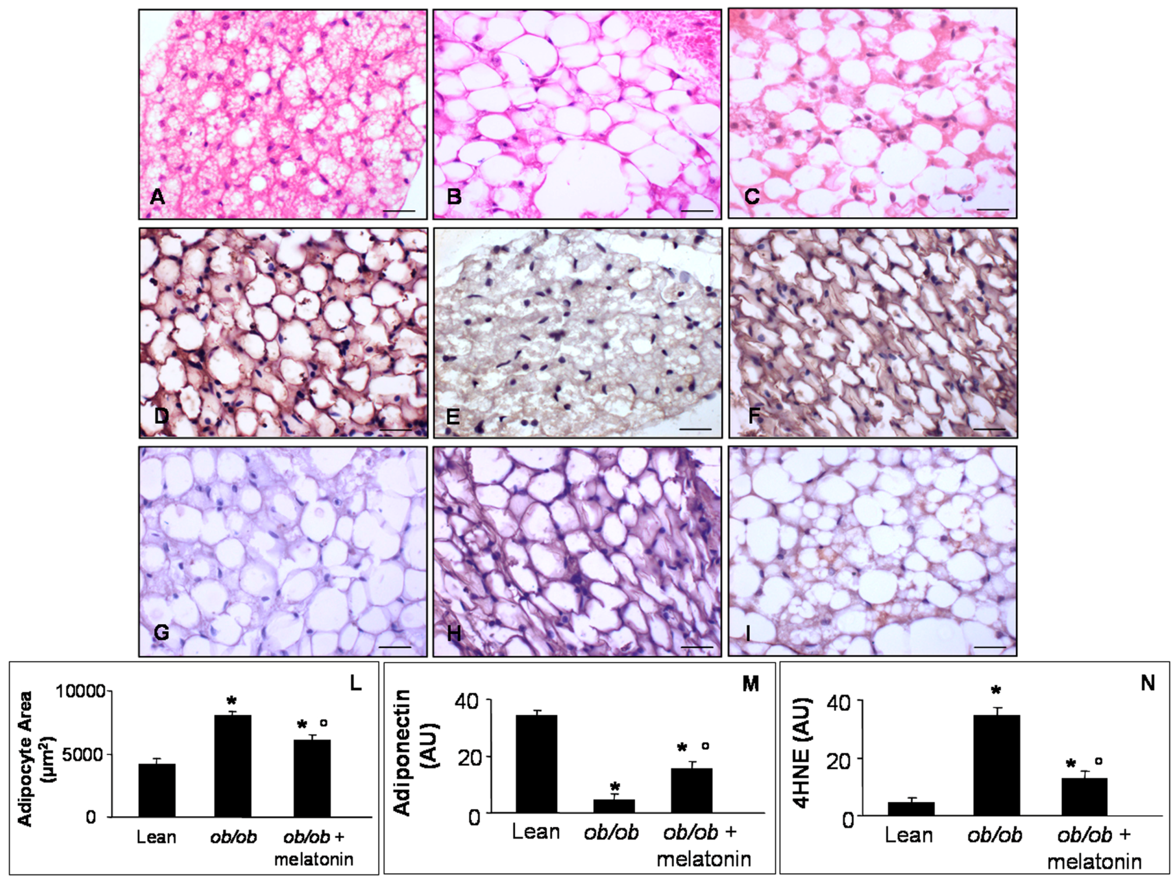 Nutrients 09 01323 g006