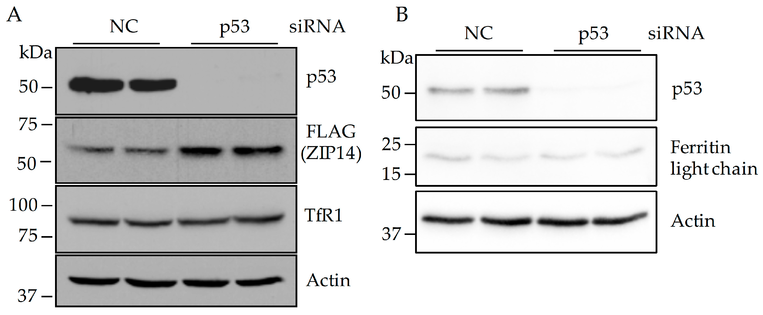 Nutrients 09 01335 g002a