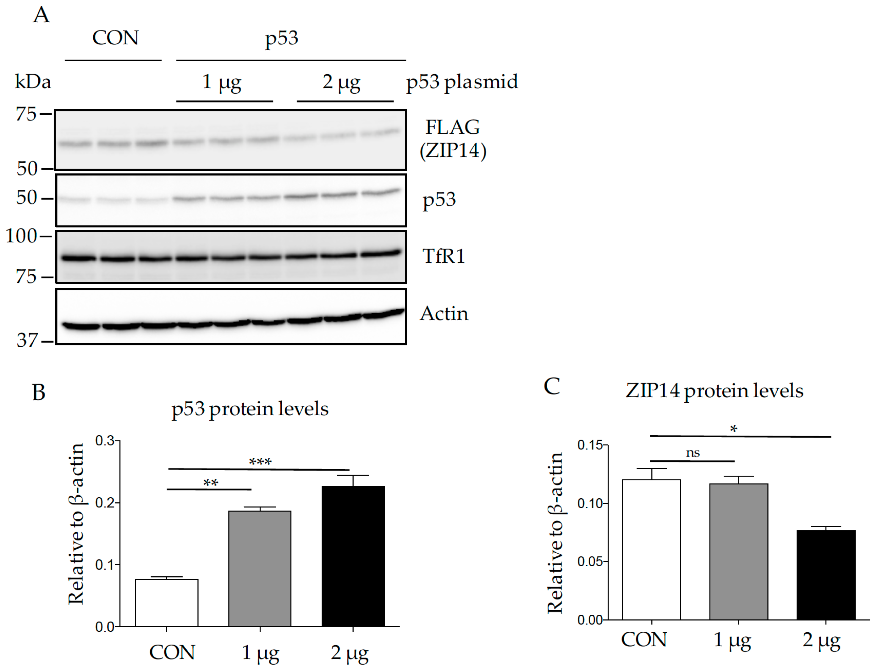 Nutrients 09 01335 g003a
