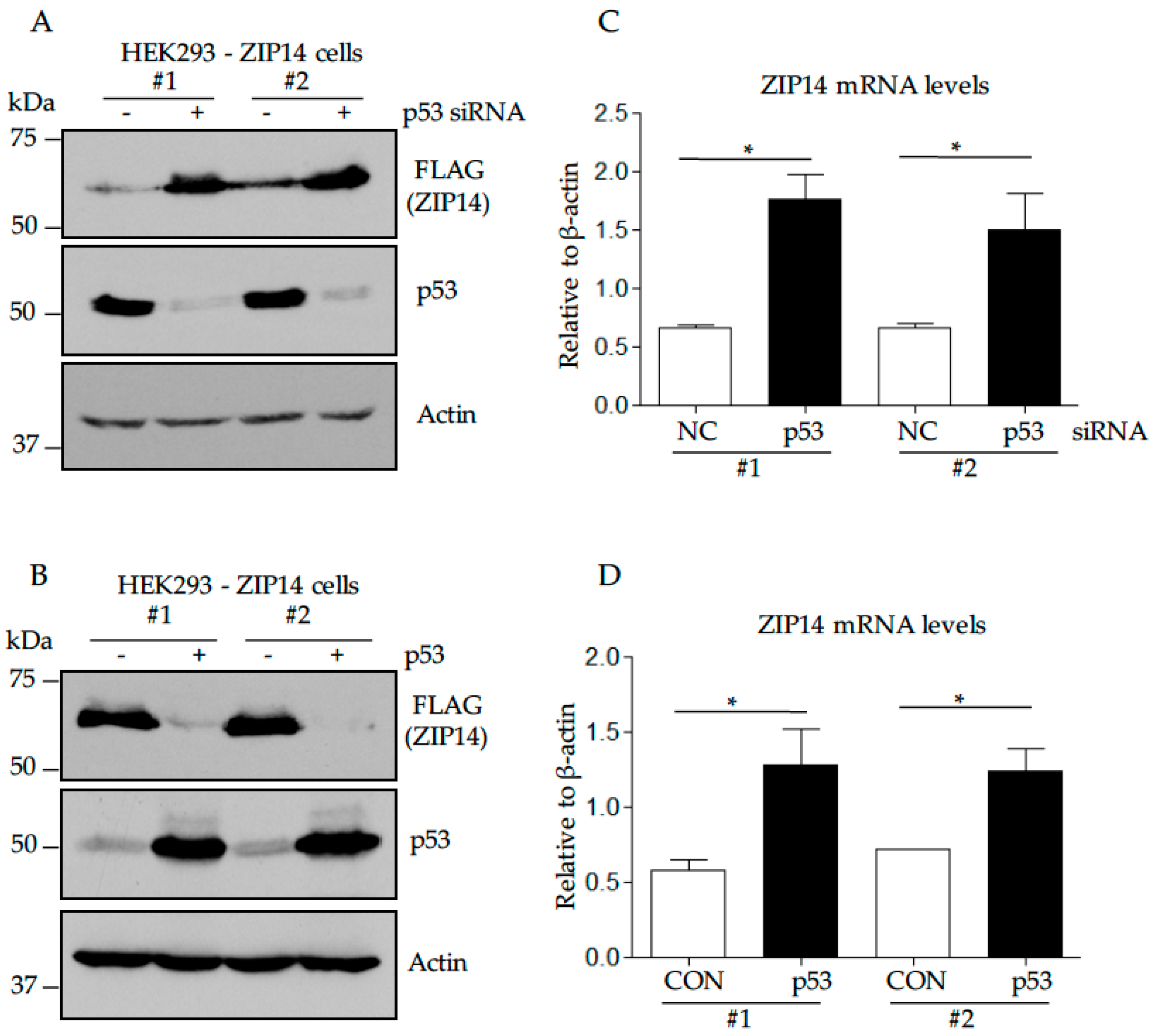 Nutrients 09 01335 g005
