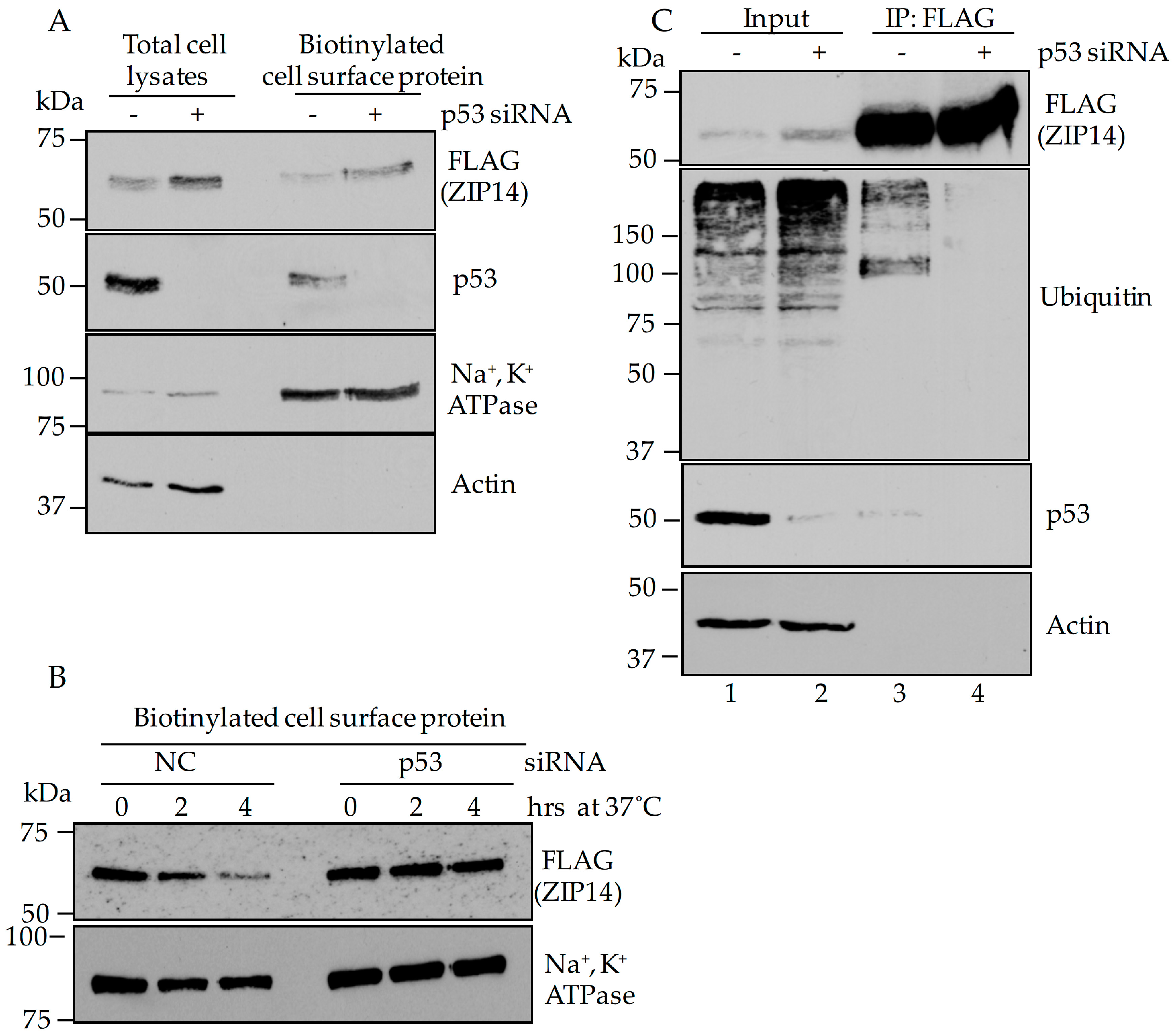 Nutrients 09 01335 g006