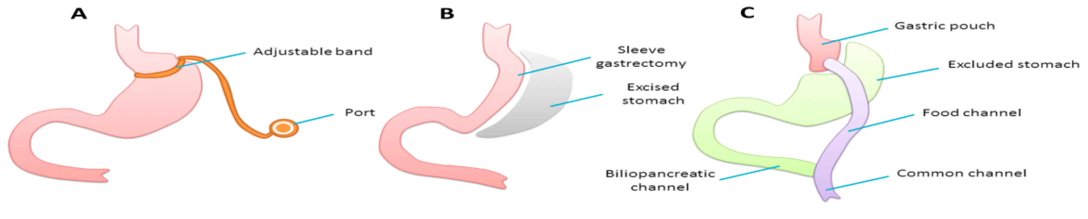 Nutrients 09 01338 g001