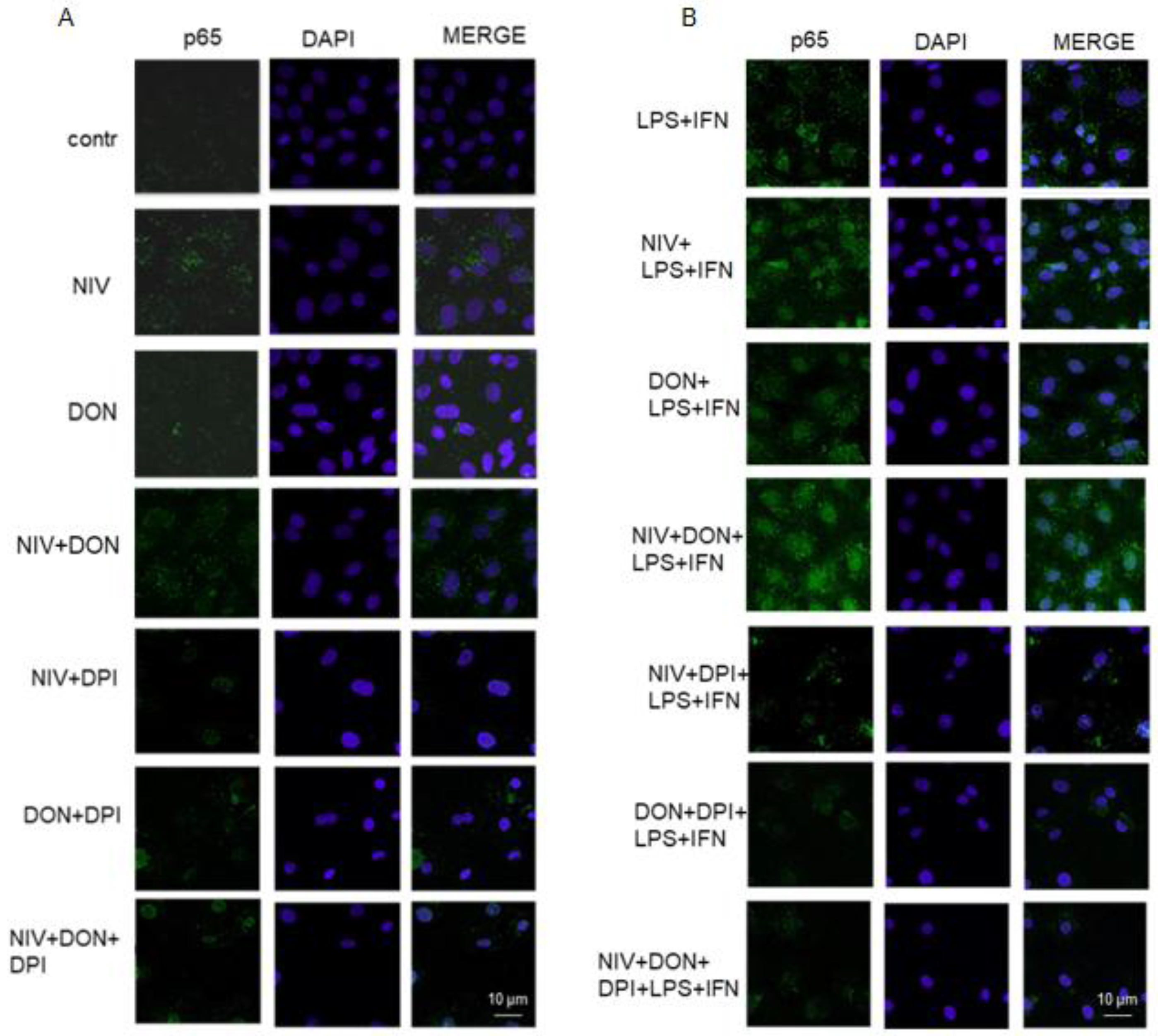 Nutrients 09 01343 g005