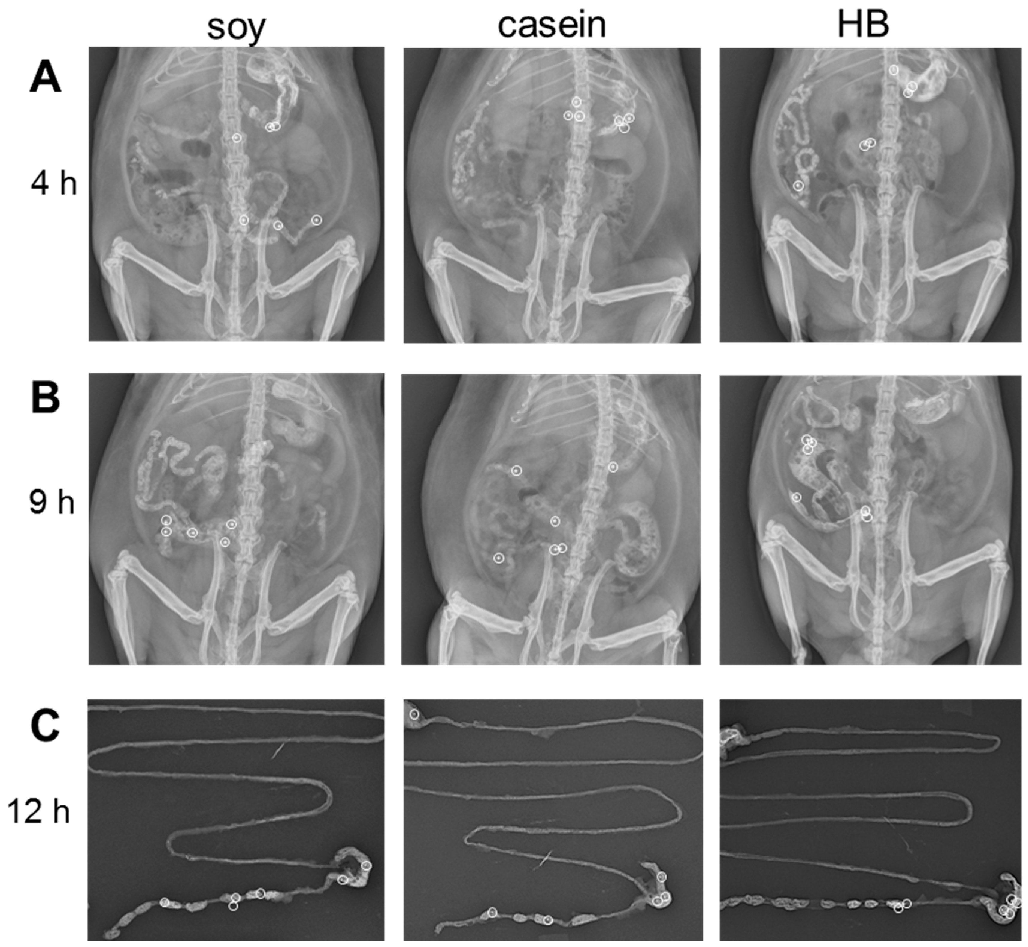 Nutrients 09 01351 g002