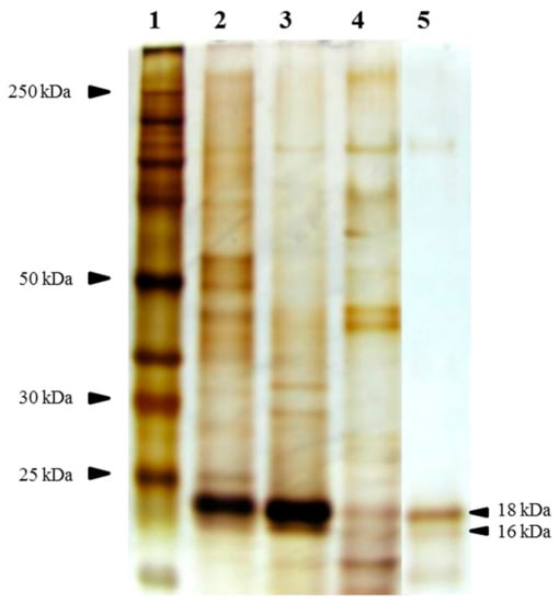 Nutrients 09 01363 g0a2 550