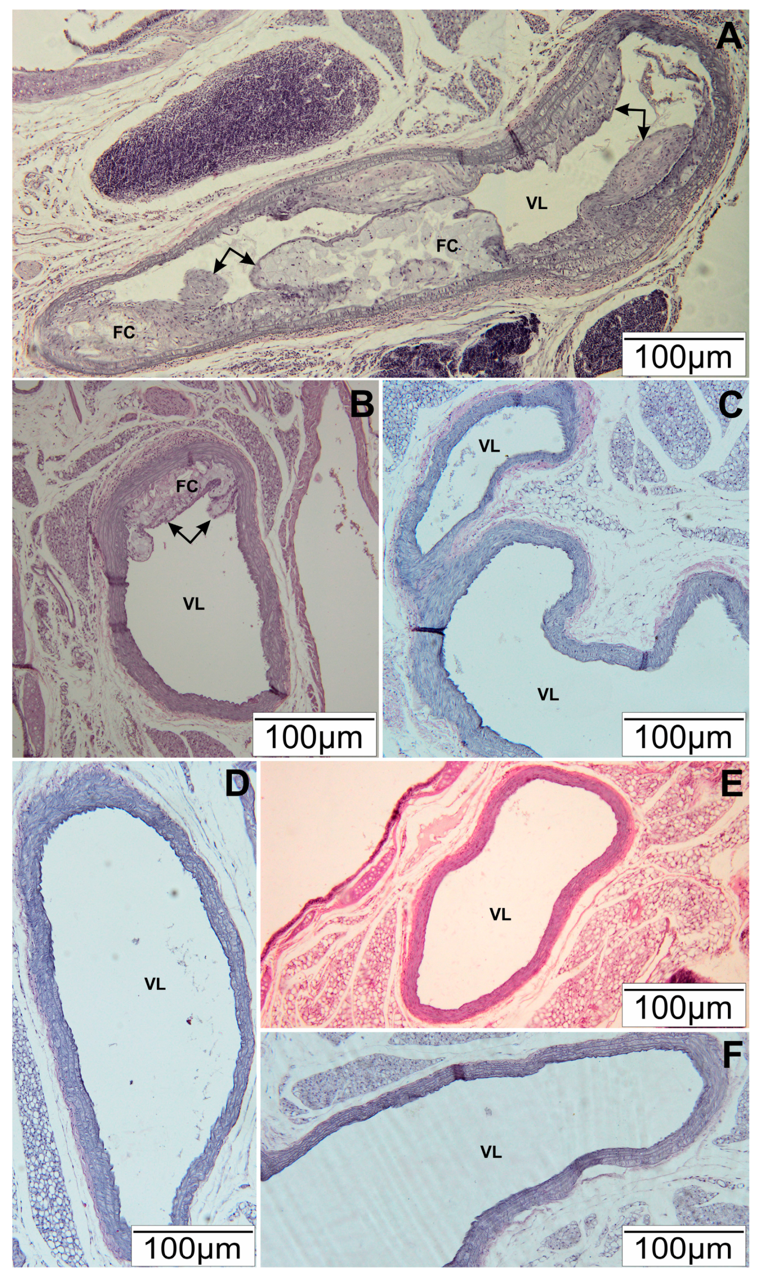 Nutrients 09 01369 g001