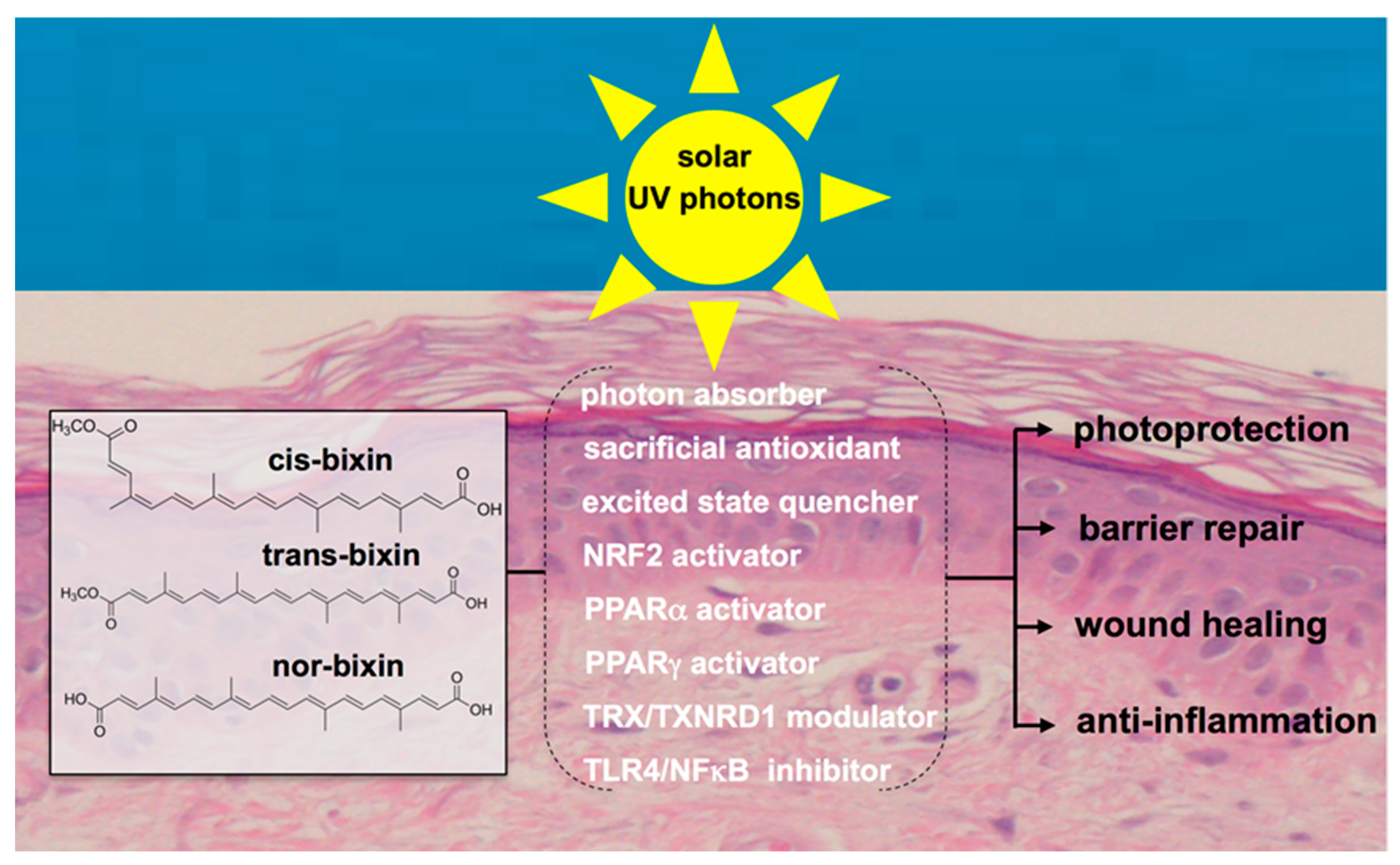 Nutrients 09 01371 g002