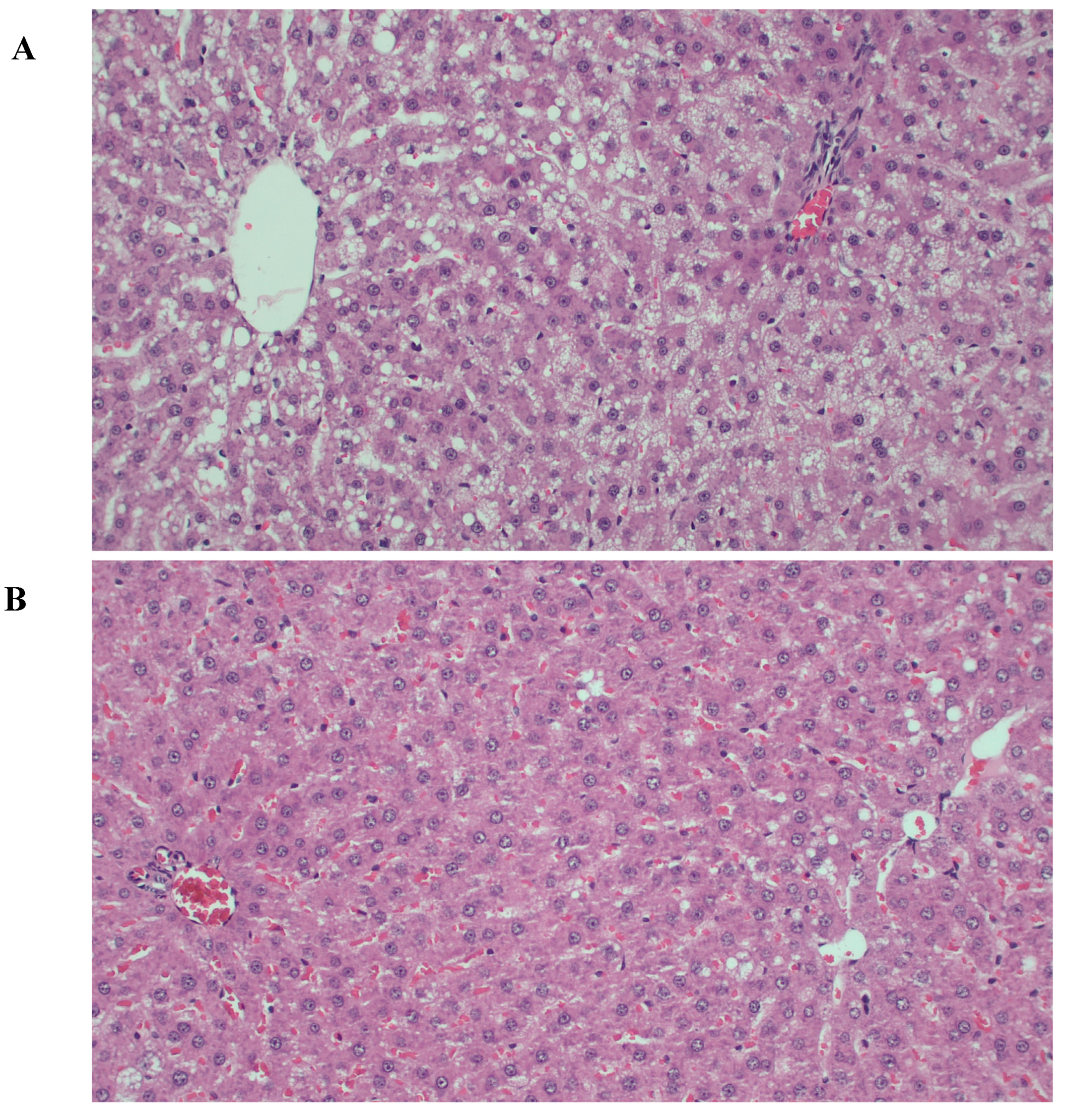 Nutrients 10 00006 g003