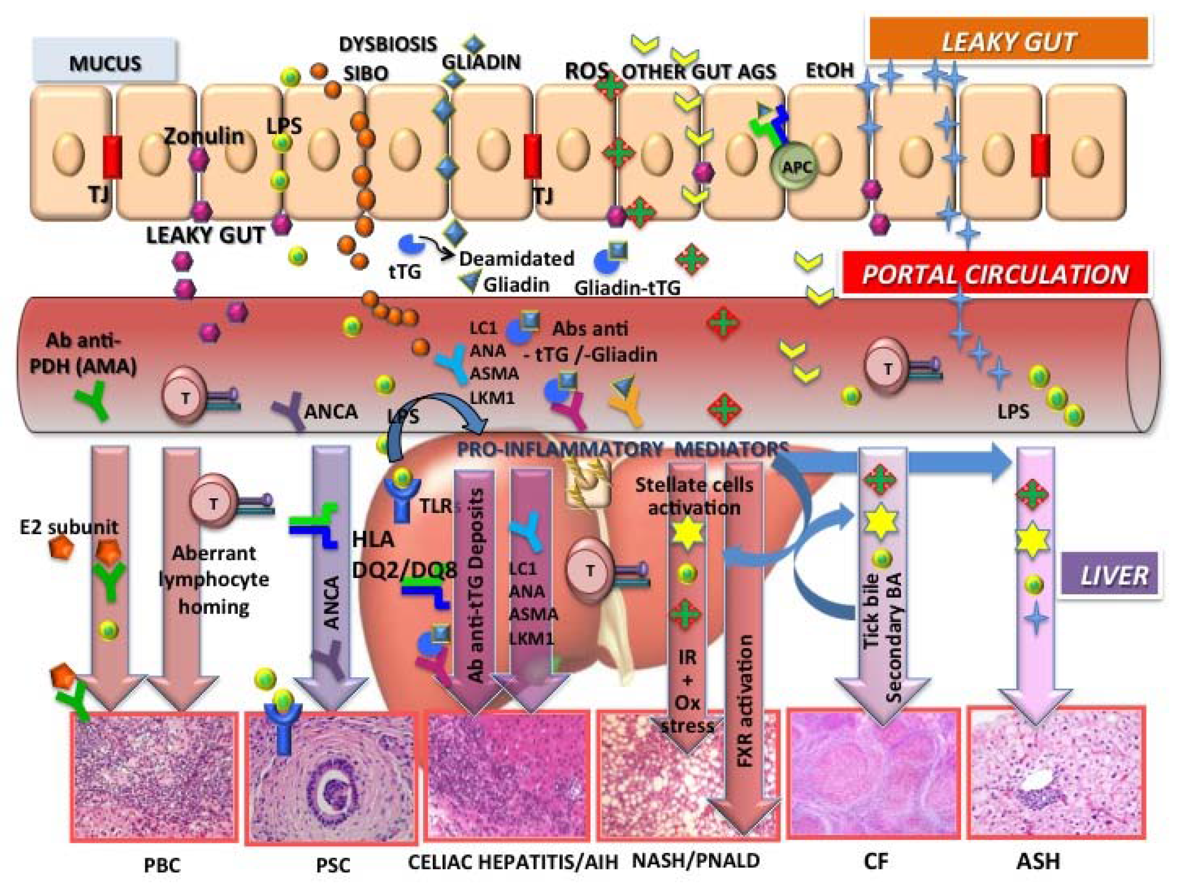 Nutrients 10 00009 g002