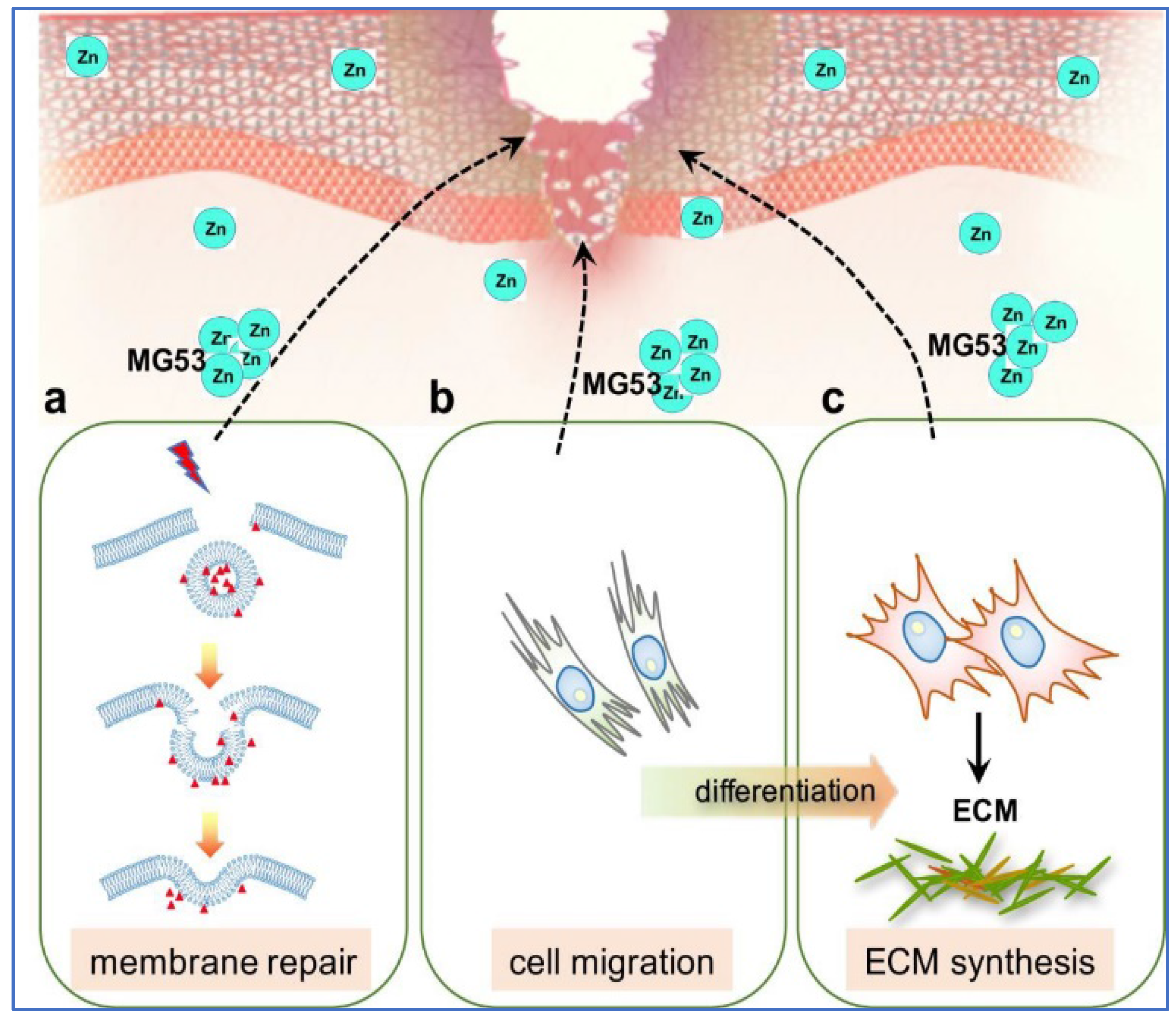 Nutrients 10 00016 g002