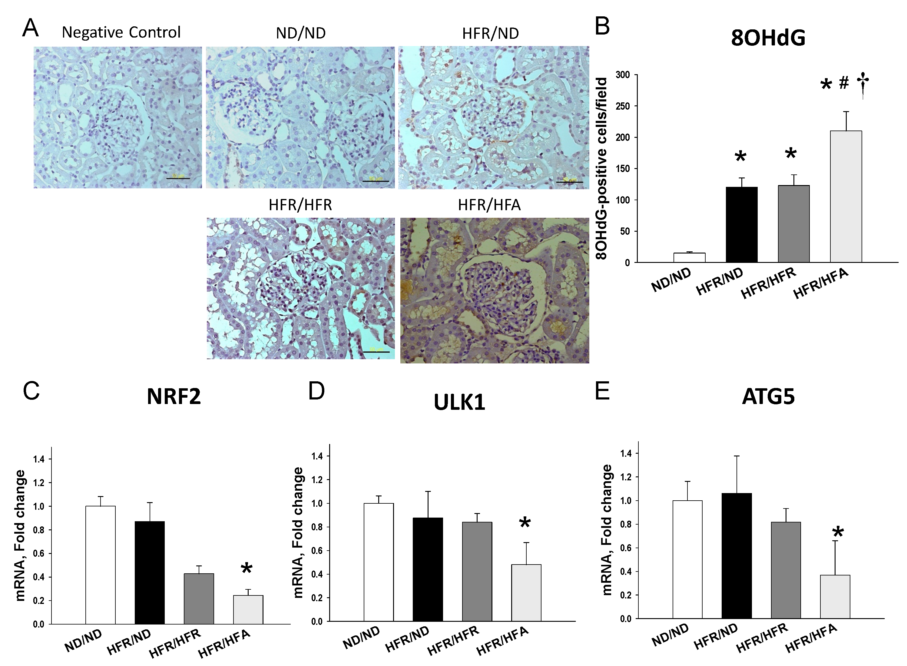 Nutrients 10 00056 g004