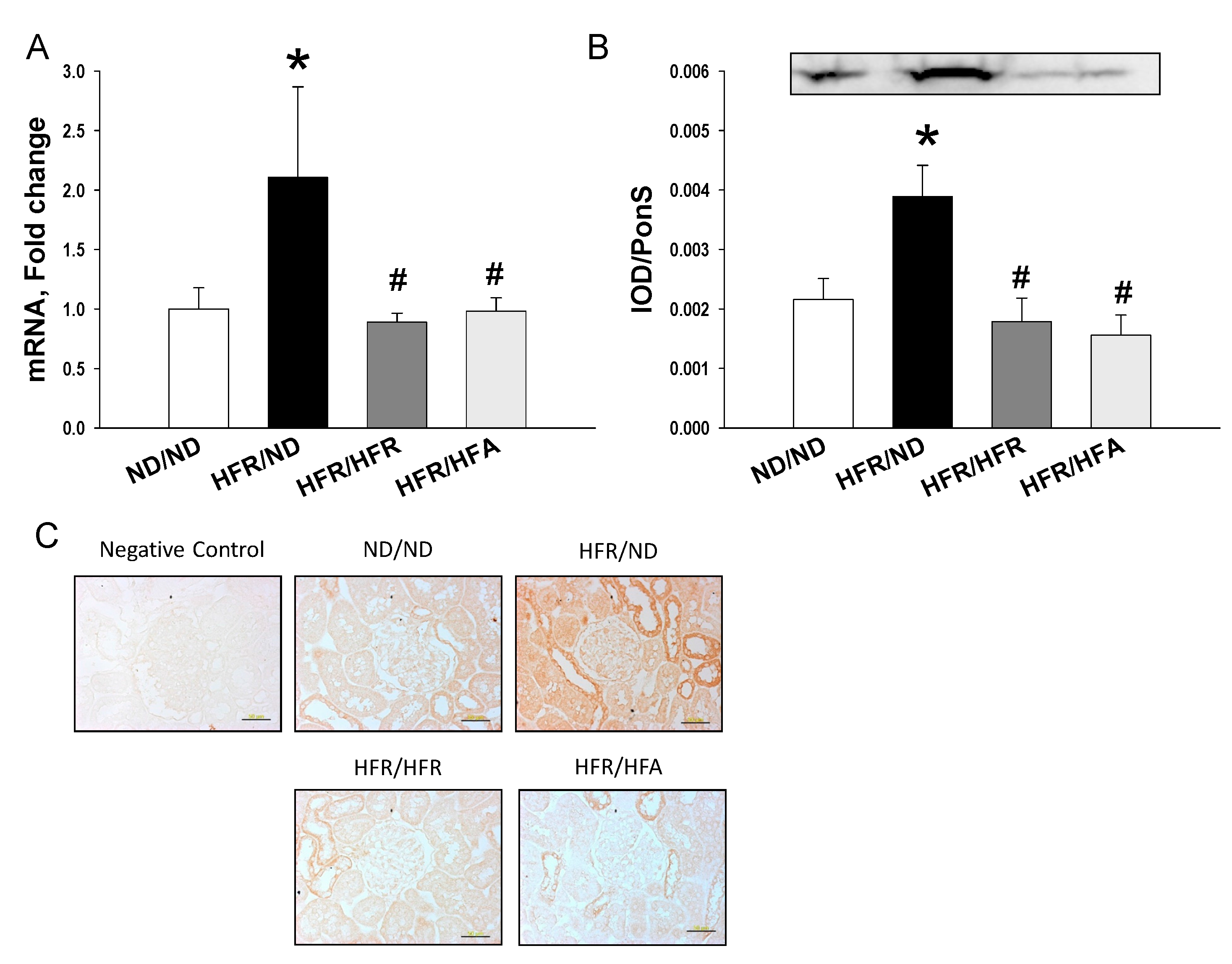 Nutrients 10 00056 g005