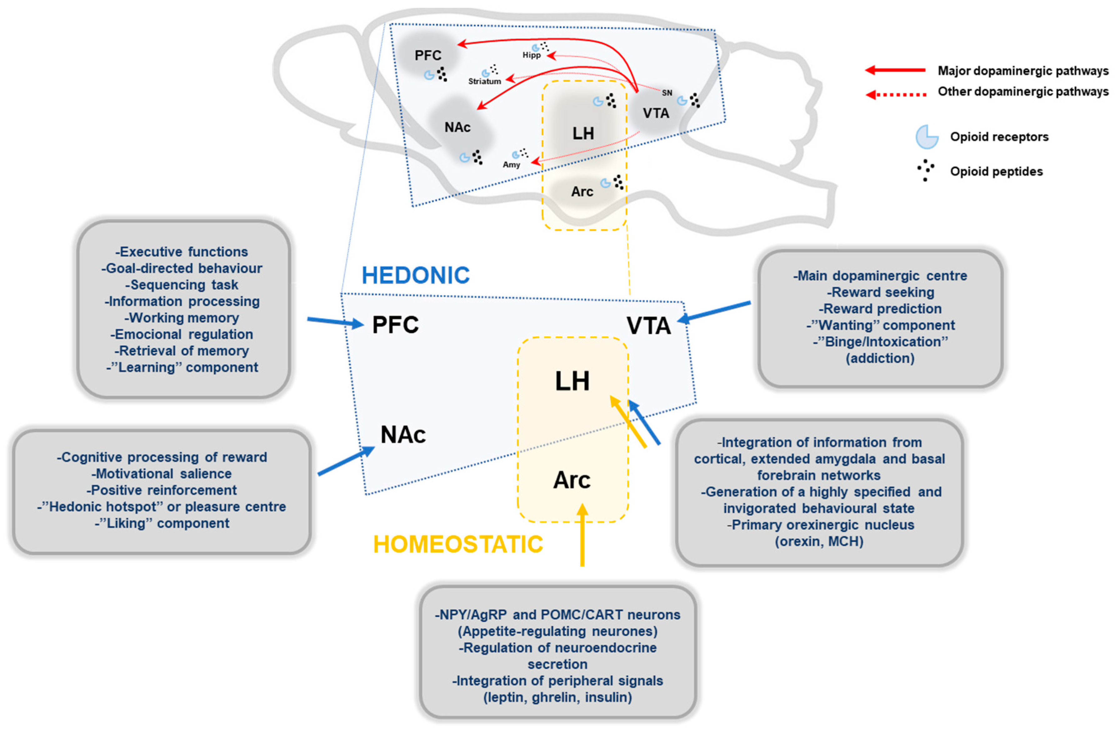 Nutrients 10 00071 g001