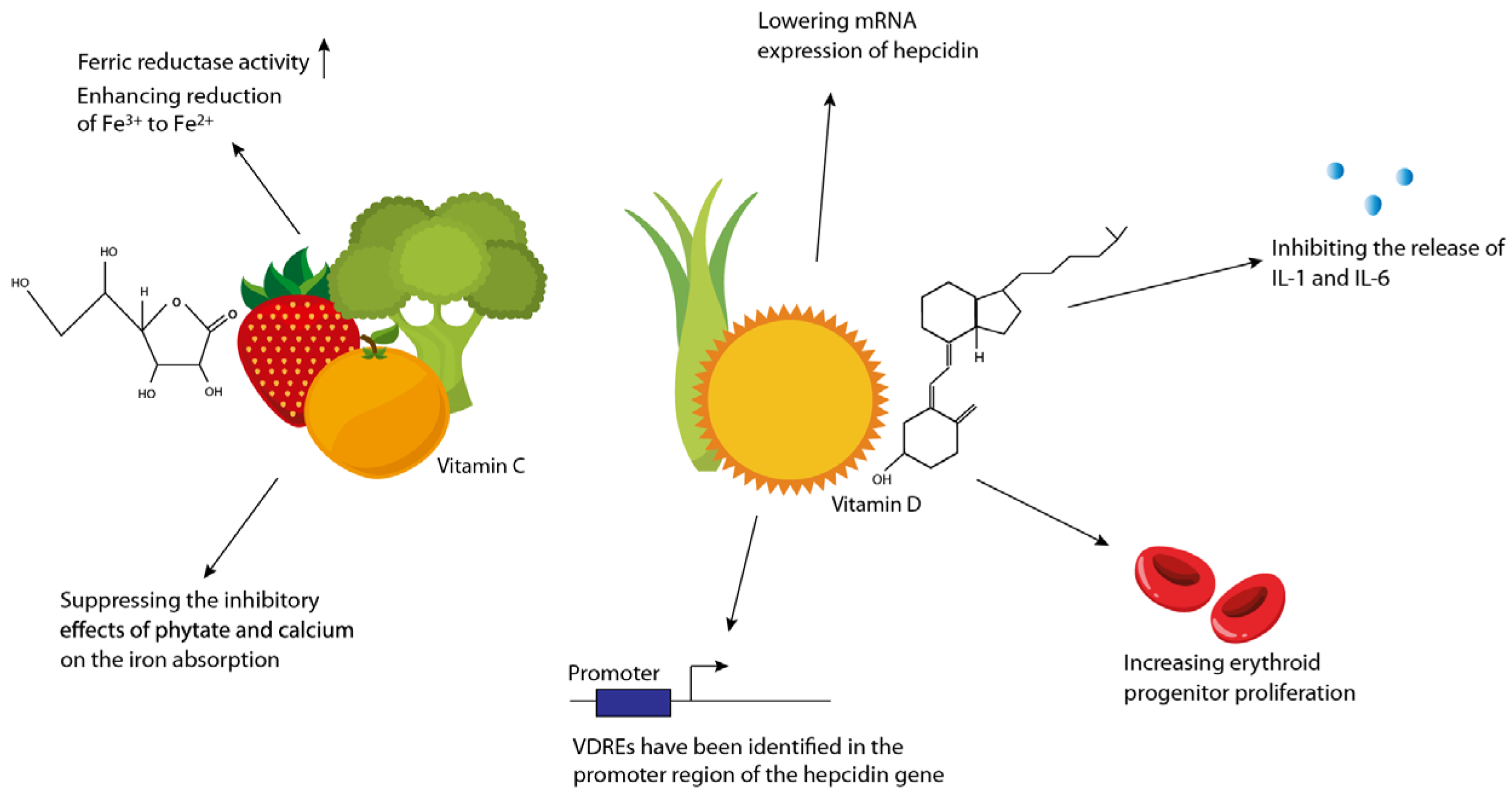 Nutrients 10 00082 g002 Nutrients 10 00082 g002
