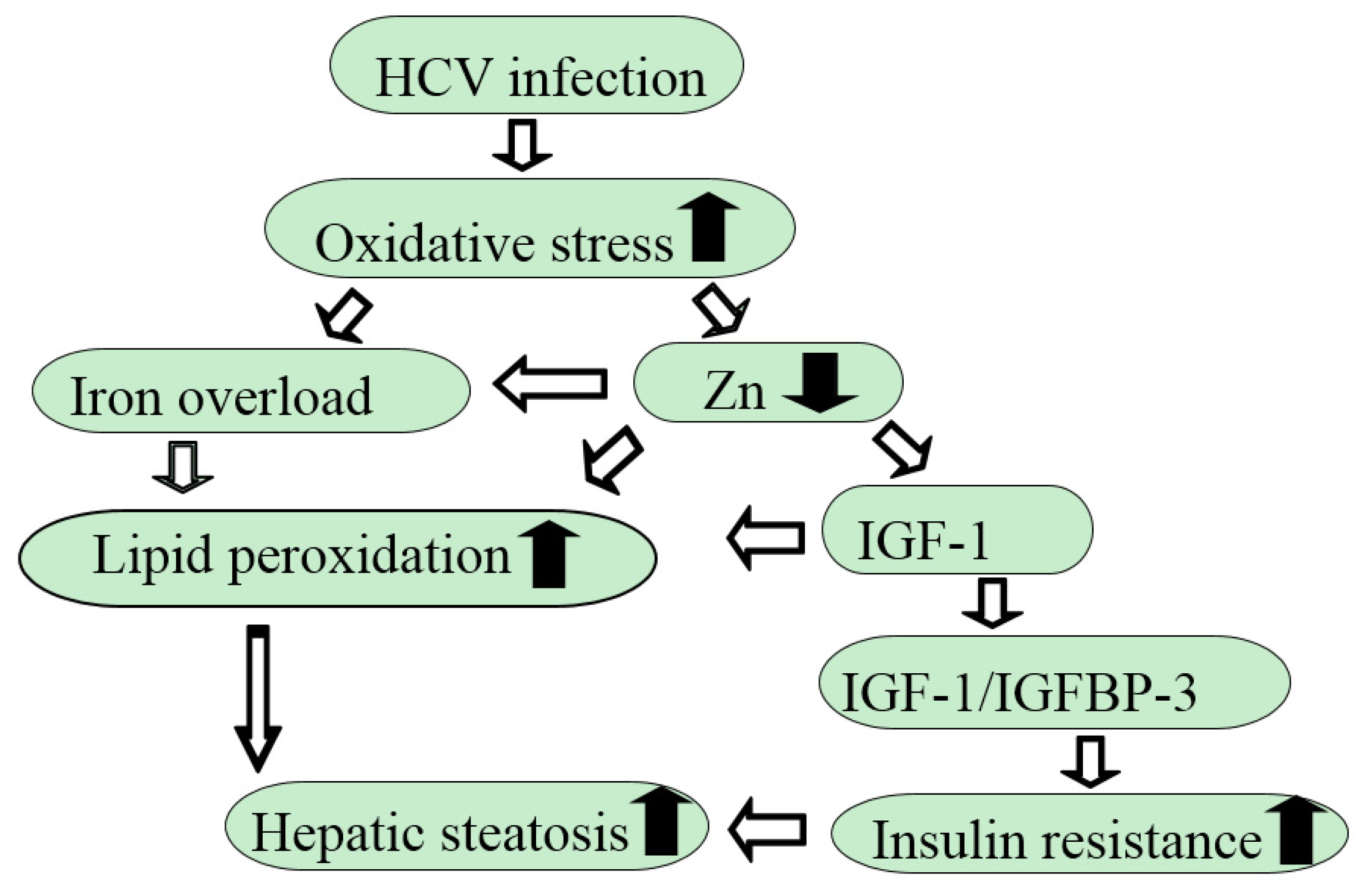 Nutrients 10 00088 g002