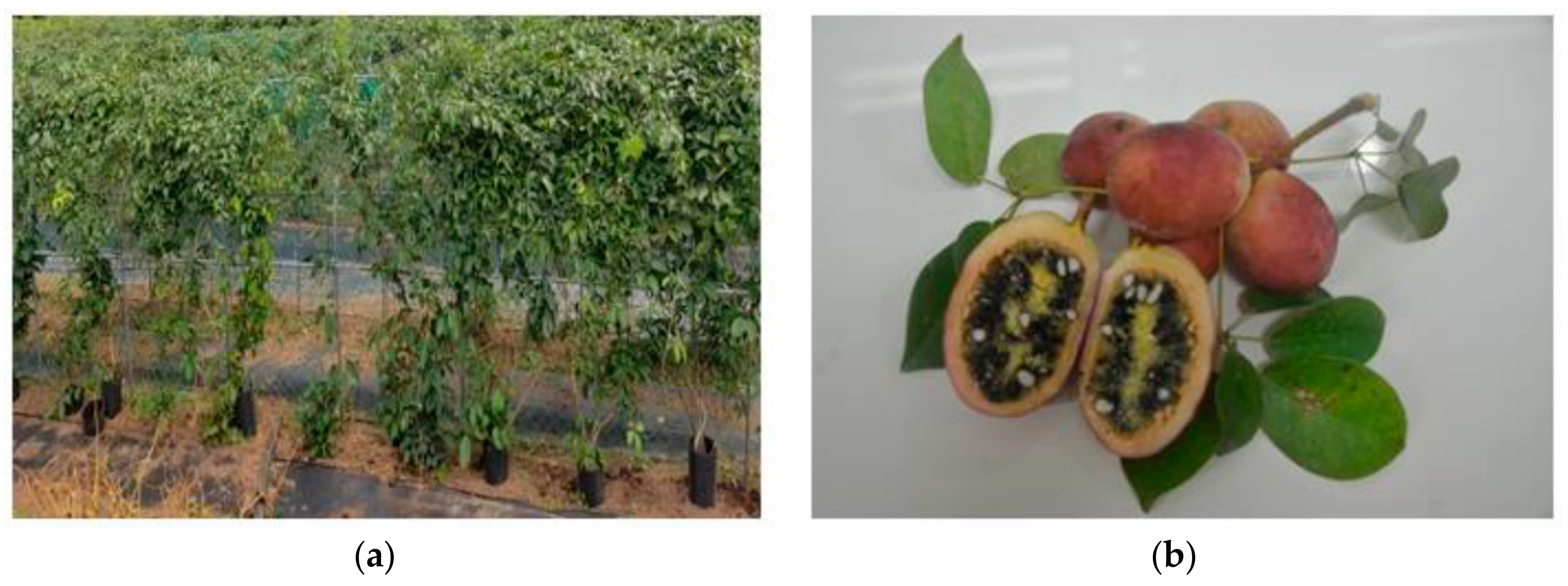 Nutrients 10 00110 g001 Nutrients 10 00110 g001