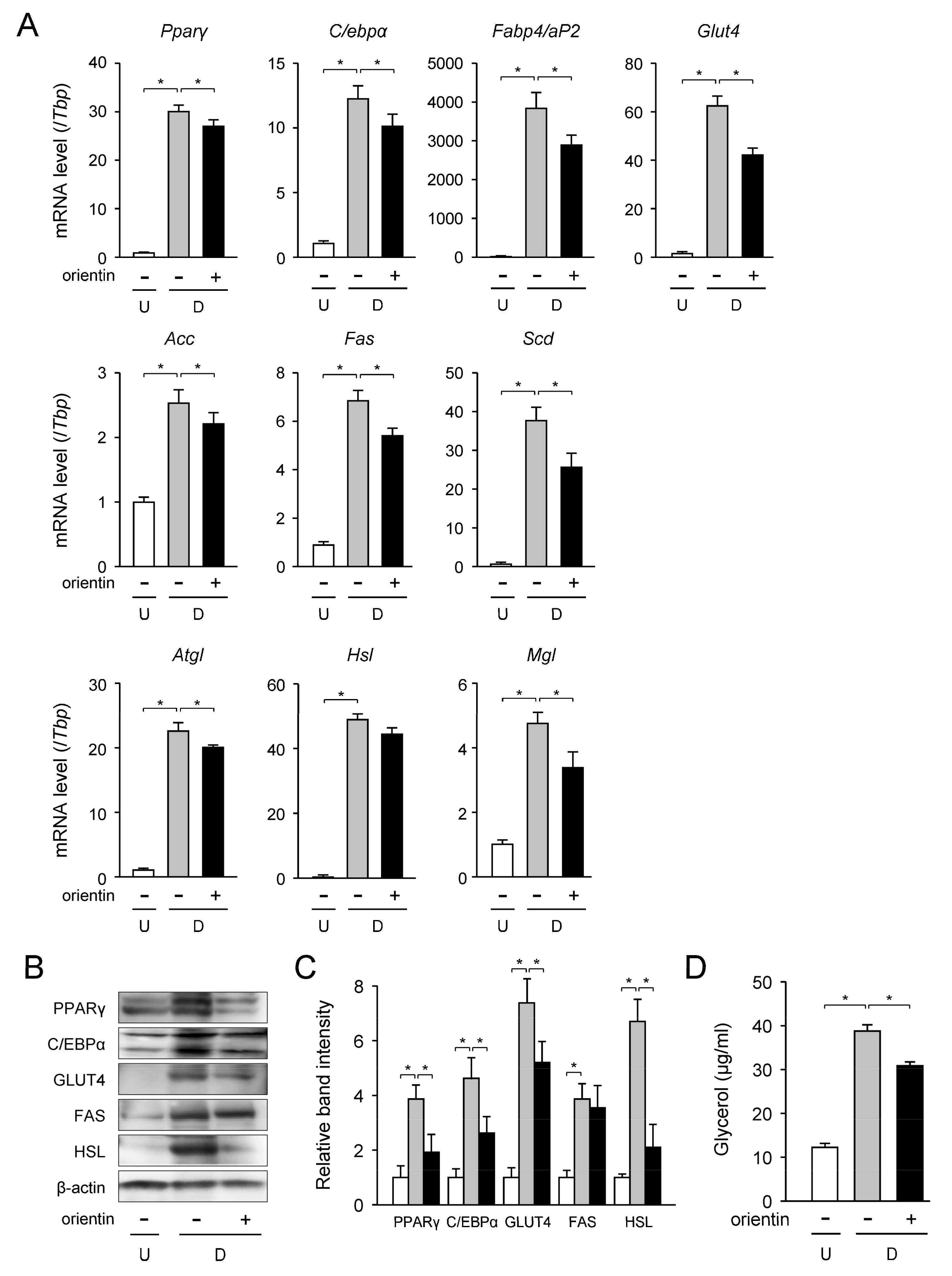 Nutrients 10 00130 g002