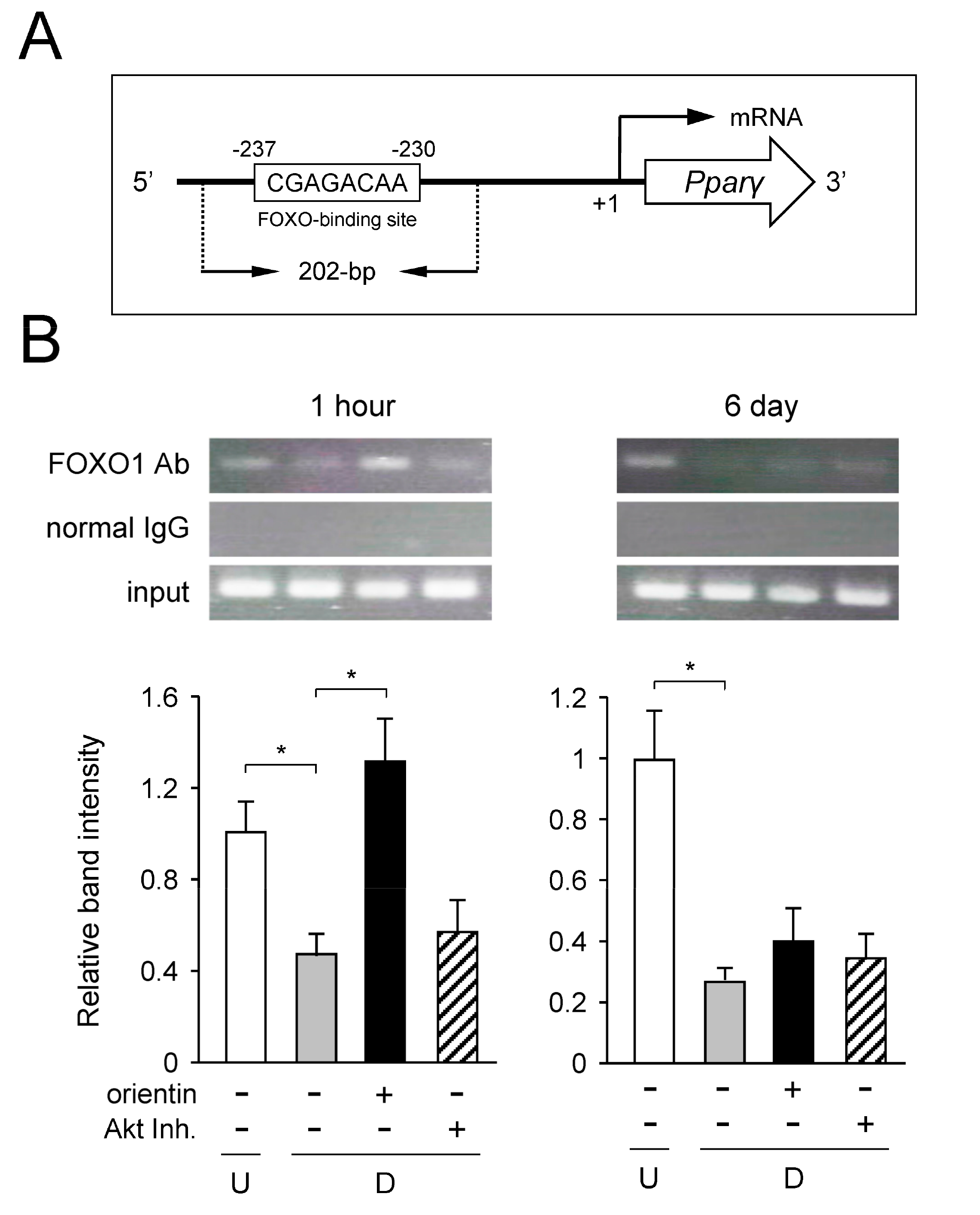 Nutrients 10 00130 g008