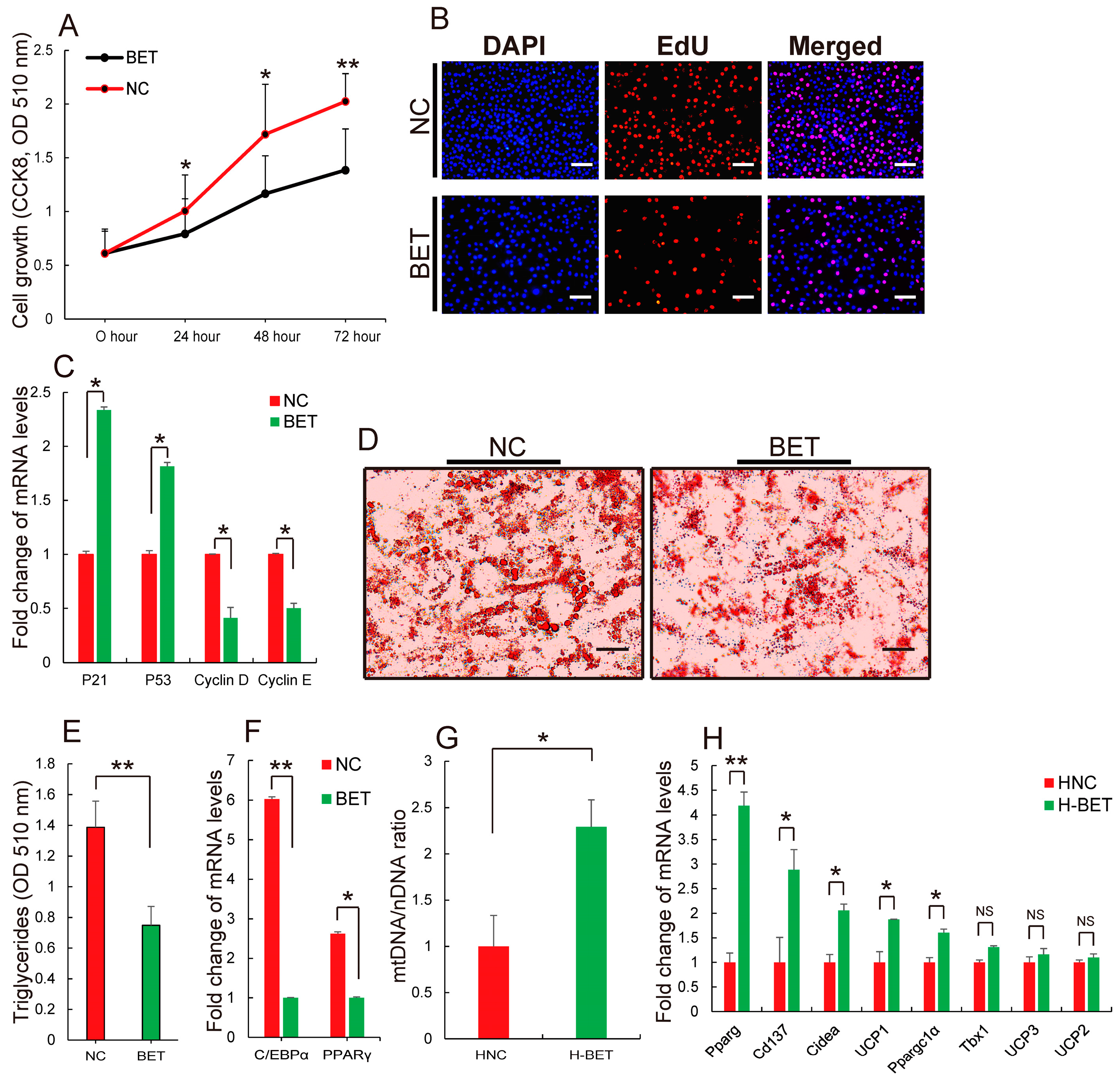 Nutrients 10 00131 g004 Nutrients 10 00131 g004