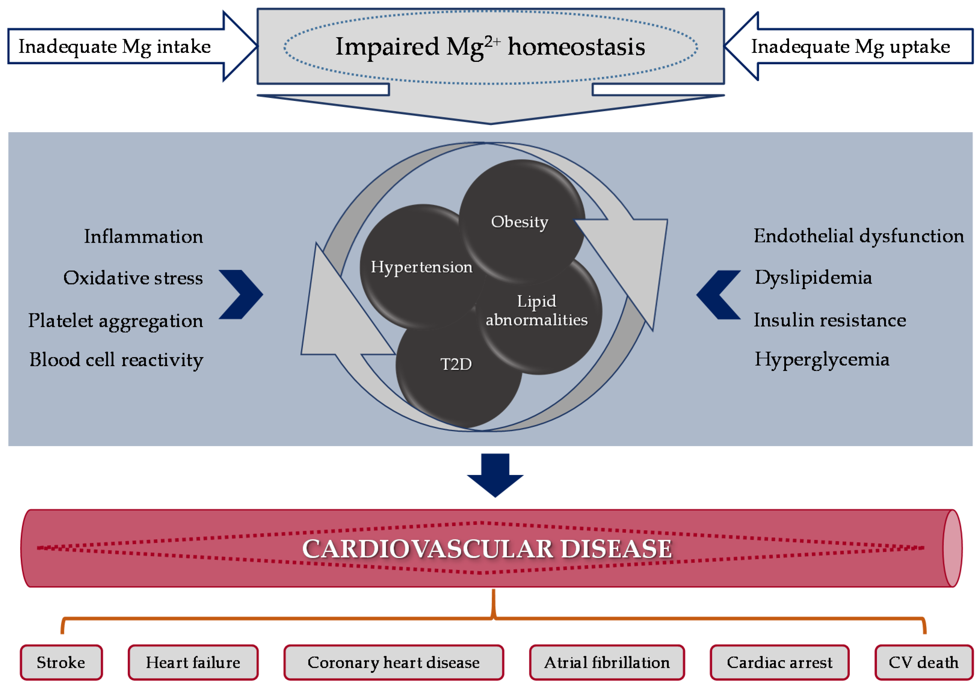 Nutrients 10 00168 g002