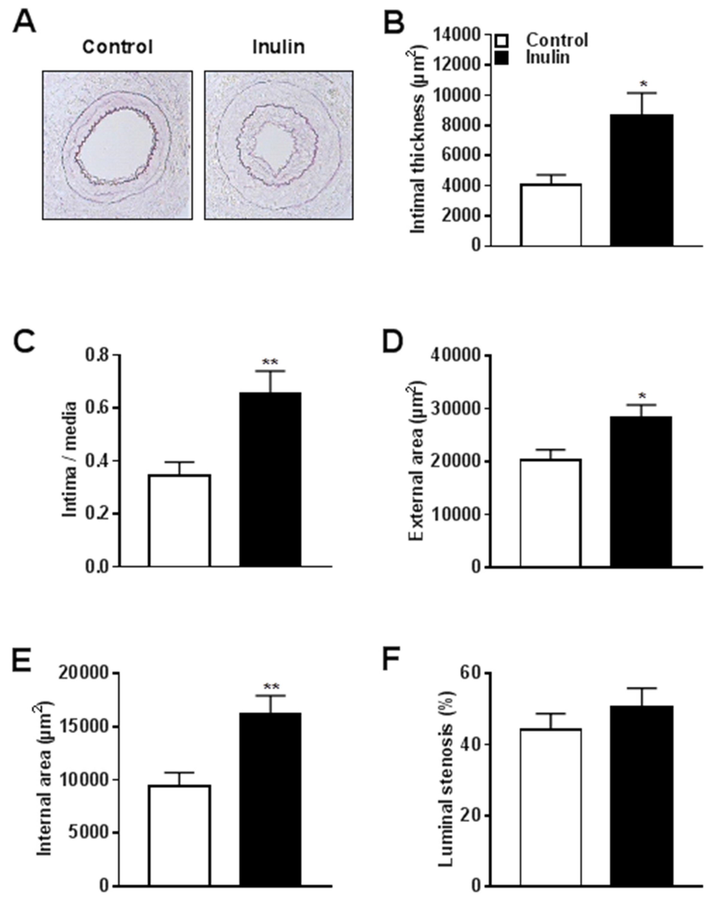 Nutrients 10 00172 g002 Nutrients 10 00172 g002
