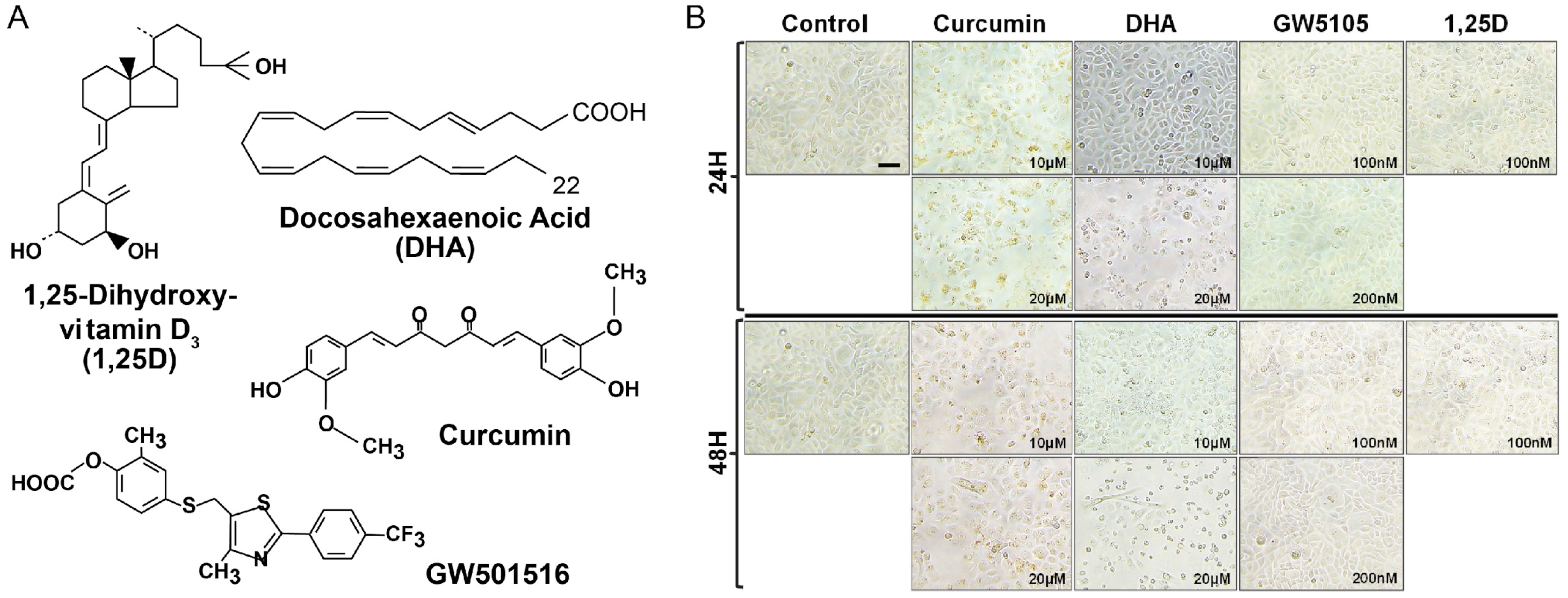 Nutrients 10 00174 g002