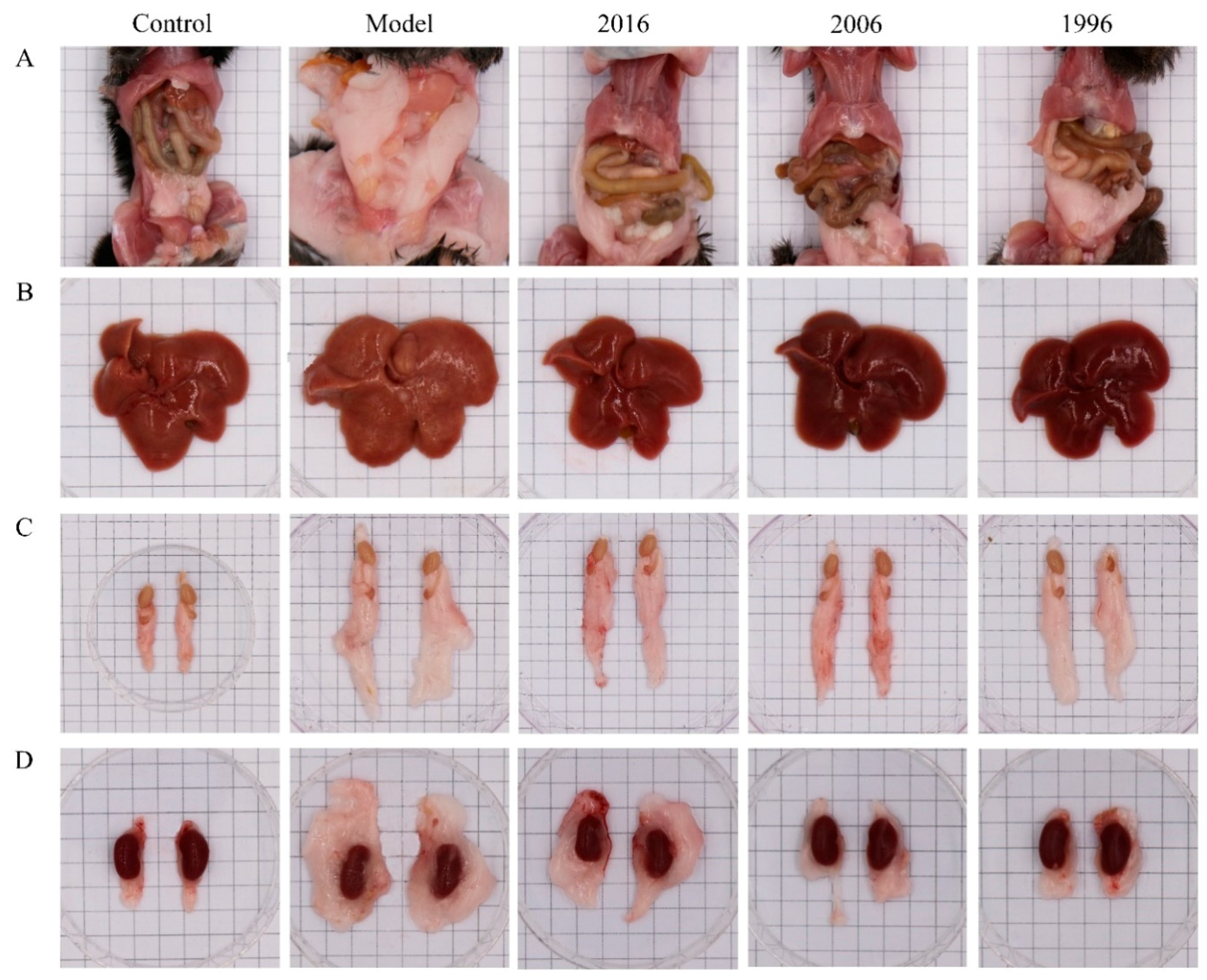 Nutrients 10 00187 g002