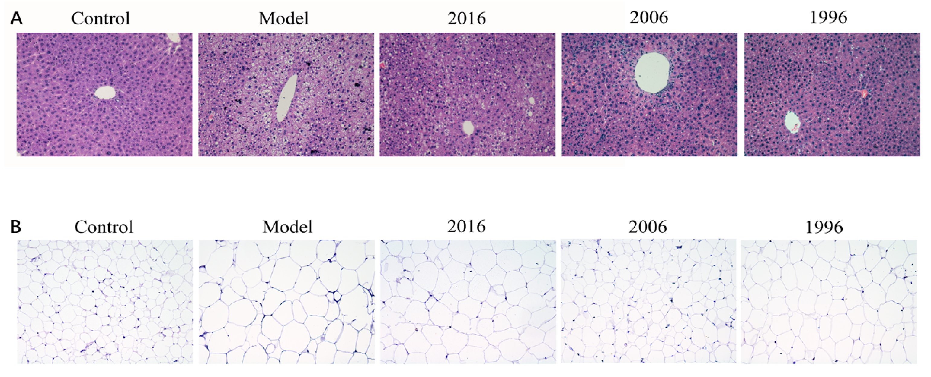 Nutrients 10 00187 g003